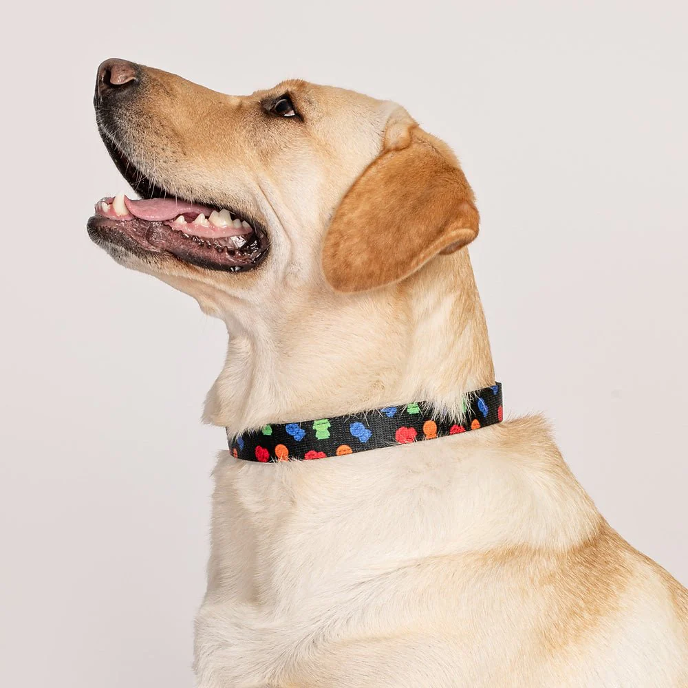 South Park Boys Pet Collar - Image 3