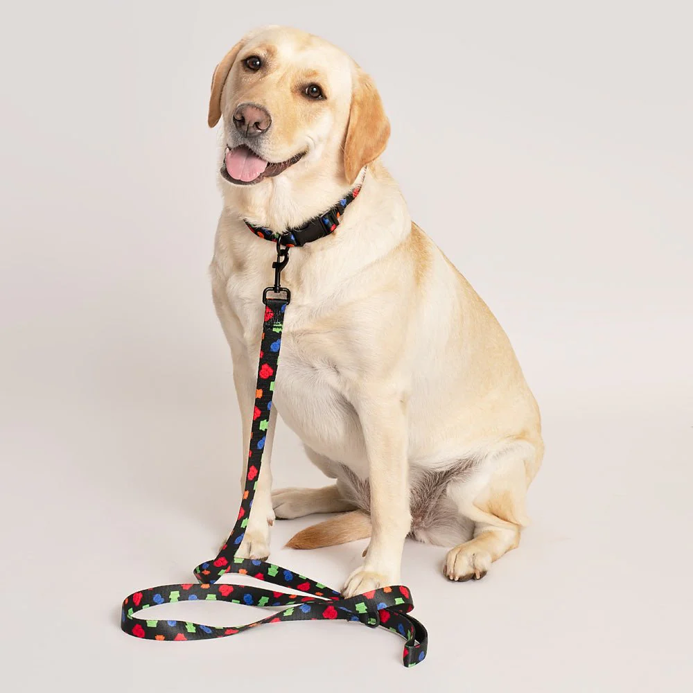 South Park Boys Pet Leash - Image 3