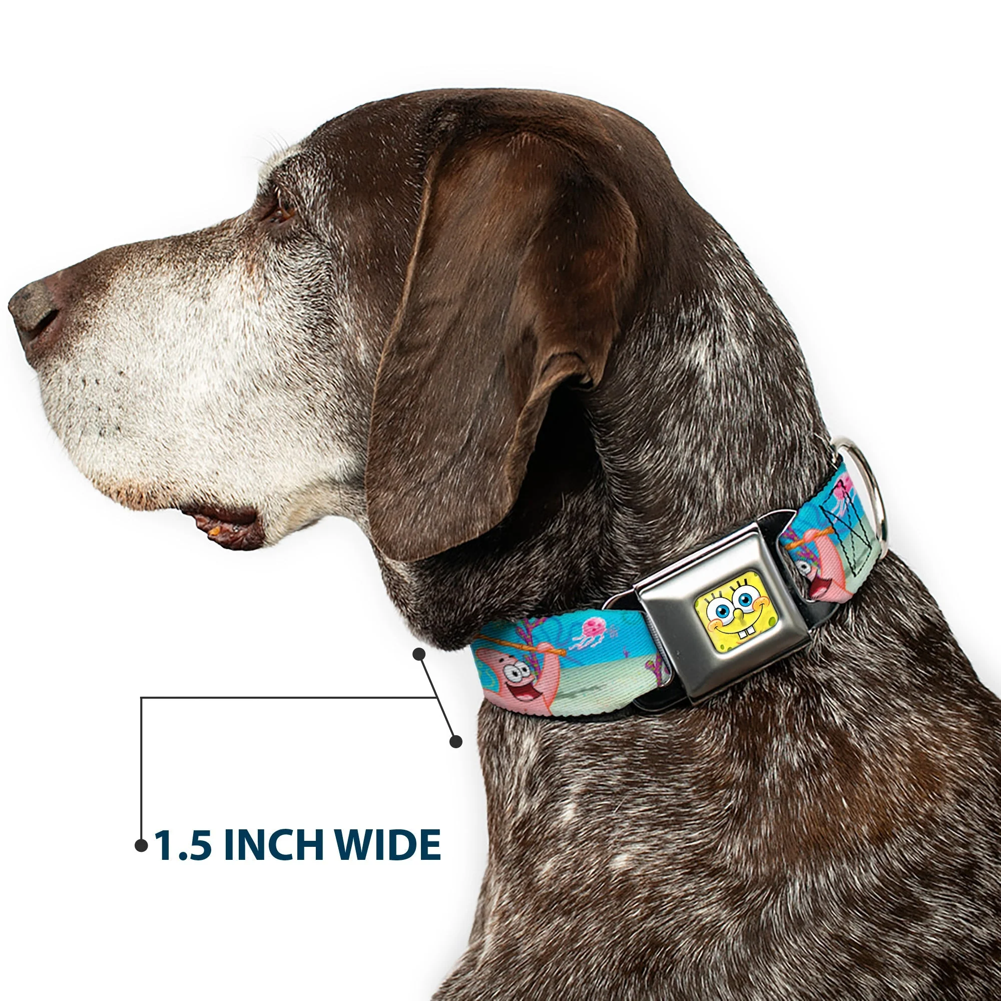 SpongeBob SquarePants Dog Collar 3D Face Jellyfishing Seatbelt Buckle - Image 7