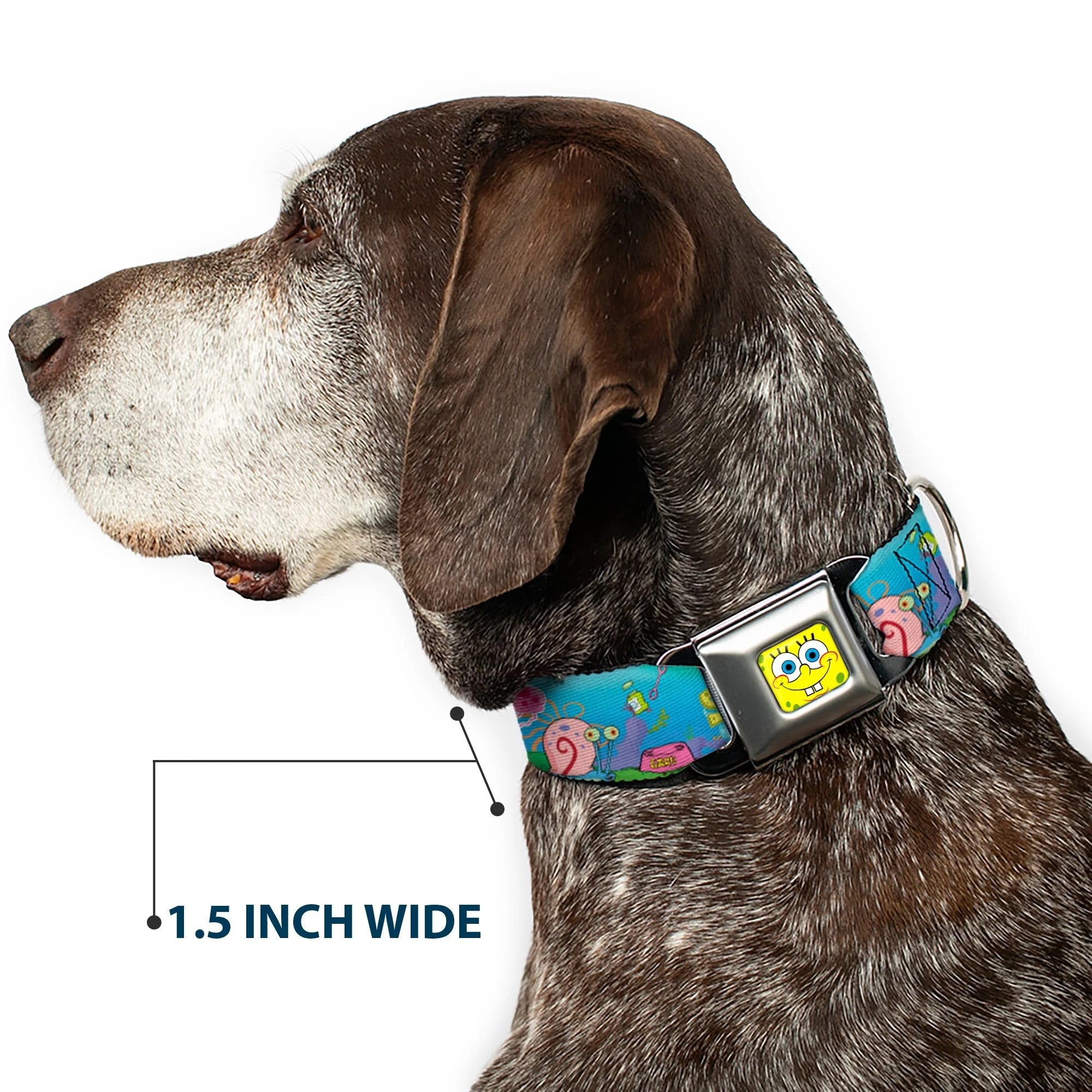 SpongeBob SquarePants Dog Collar SpongeBob Face Close-Up Seatbelt Buckle - Image 7