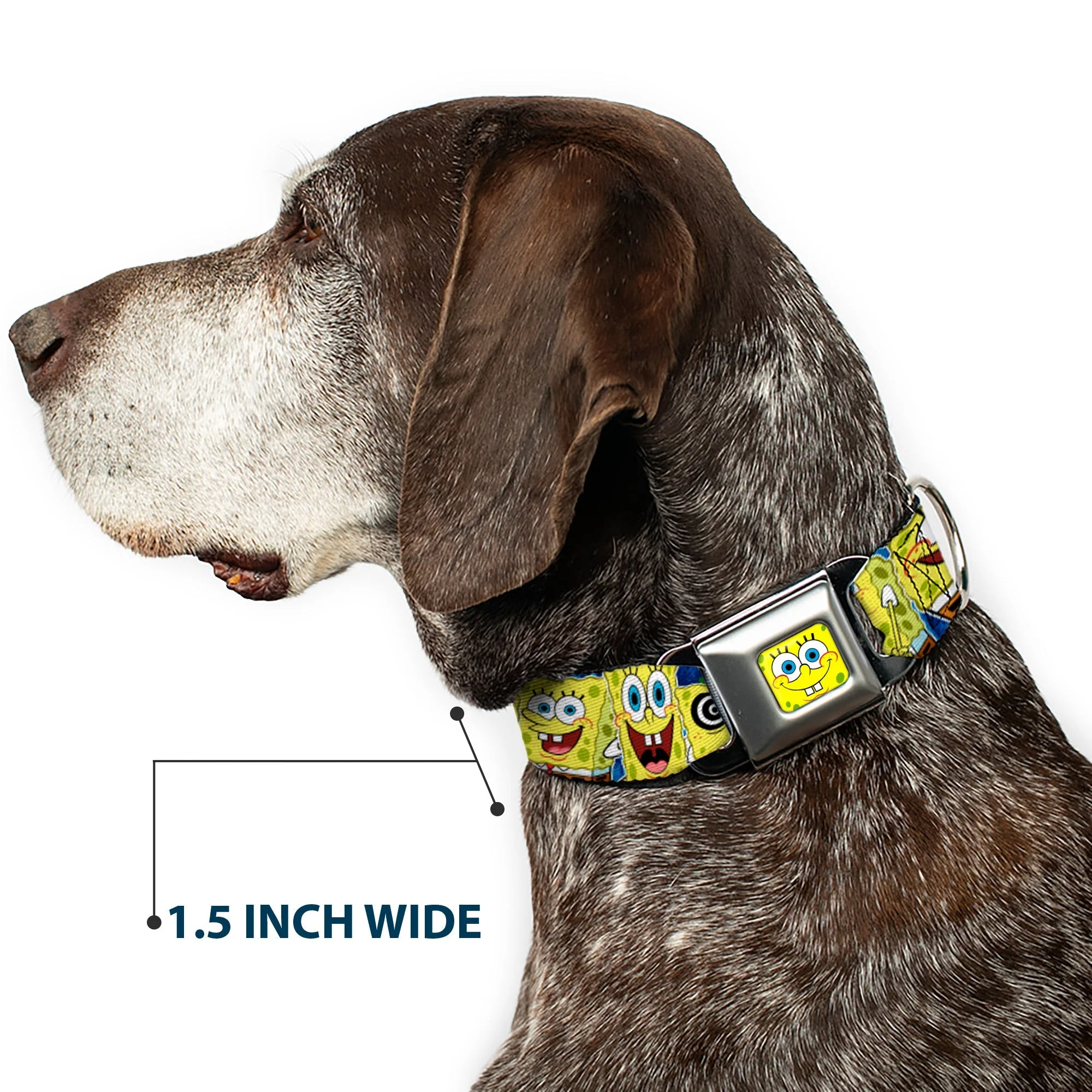 SpongeBob SquarePants Dog Collar SpongeBob Face Close-Up Expressions Stripe Seatbelt Buckle Blue - Image 7