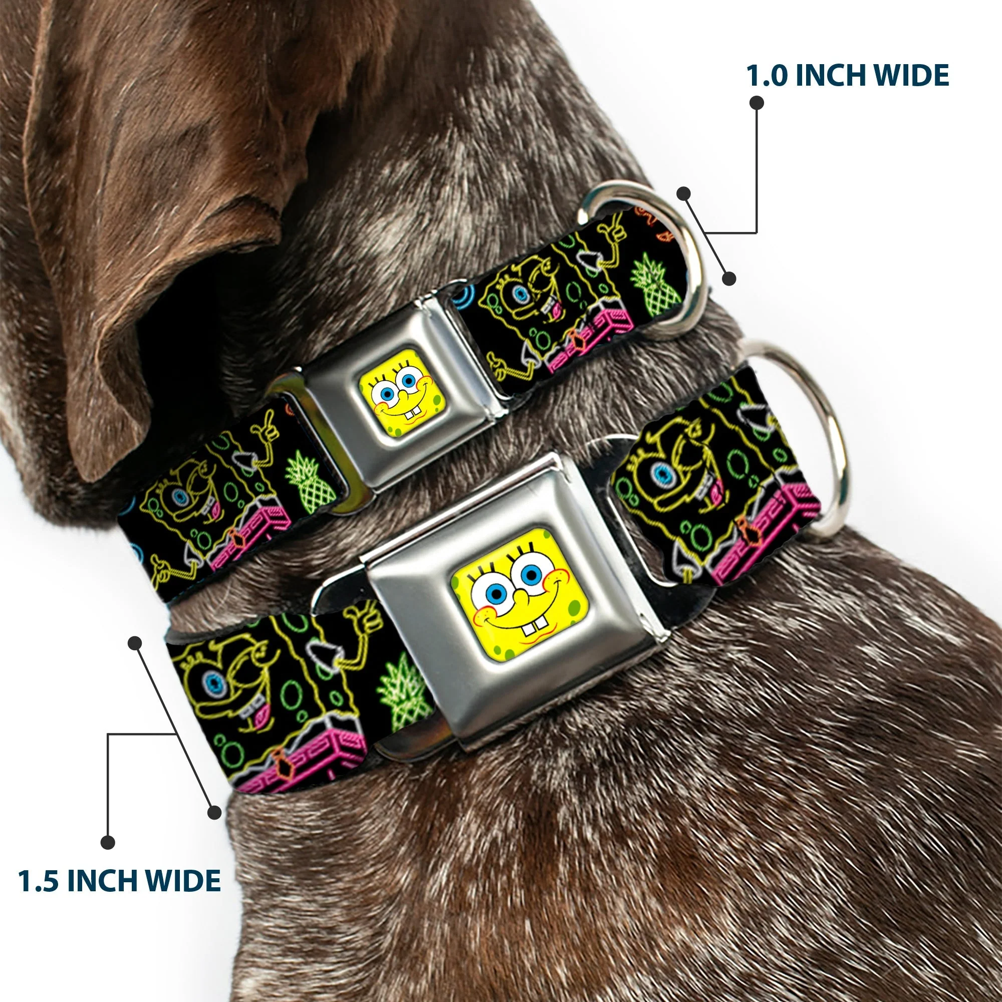 SpongeBob SquarePants Dog Collar Face Close-Up & Electric Poses Miniature Seatbelt Buckle Black Multi - Image 2