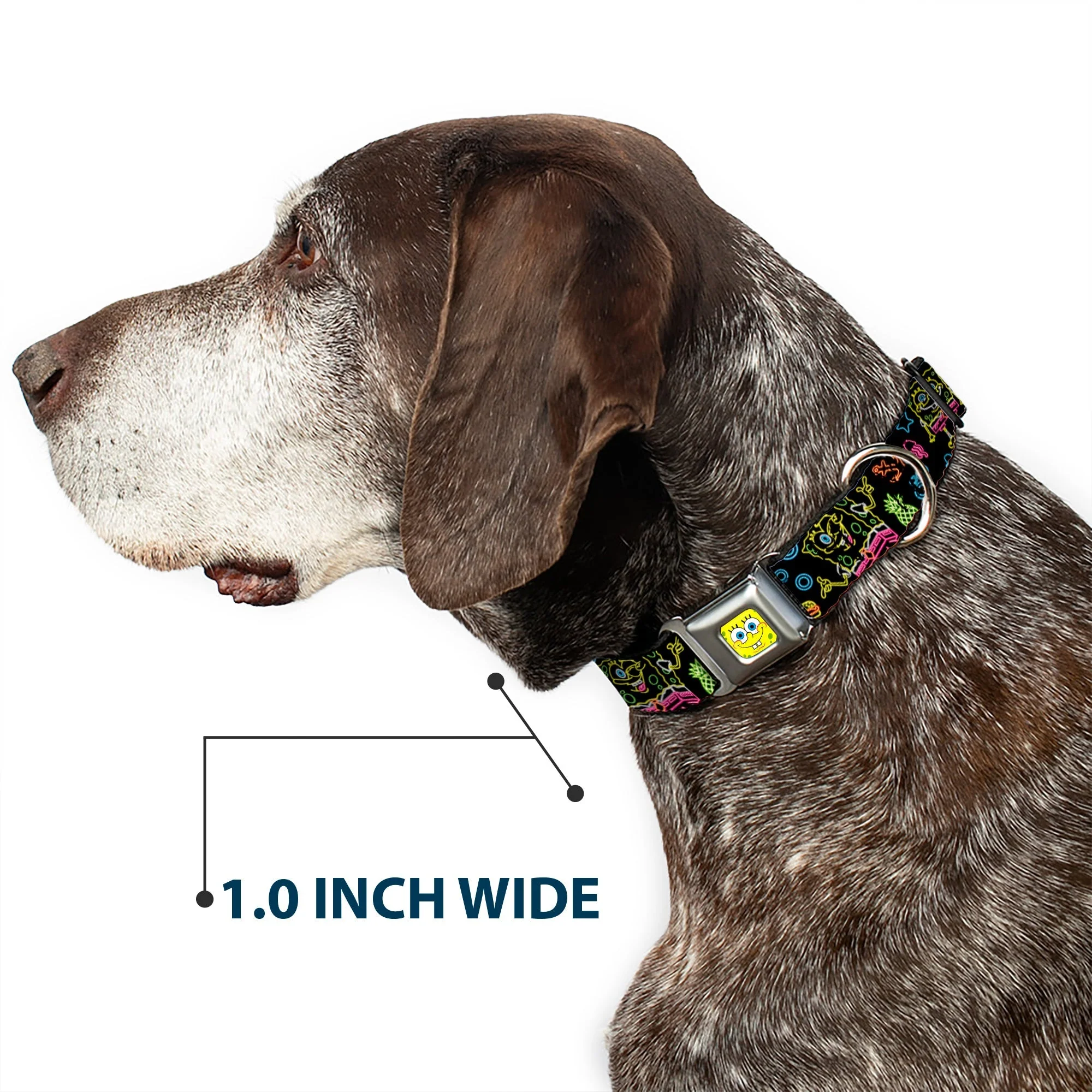 SpongeBob SquarePants Dog Collar Face Close-Up & Electric Poses Miniature Seatbelt Buckle Black Multi - Image 6