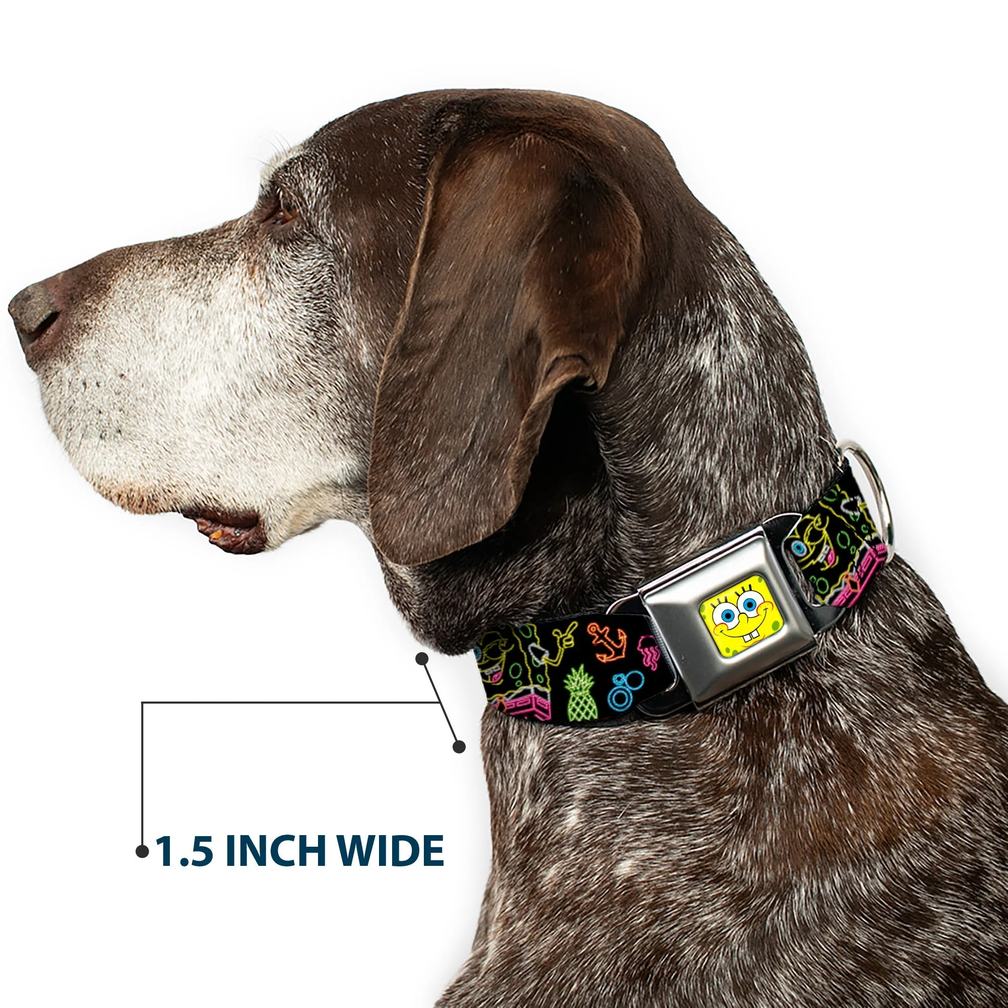 SpongeBob SquarePants Dog Collar Face Close-Up & Electric Poses Miniature Seatbelt Buckle Black Multi - Image 7