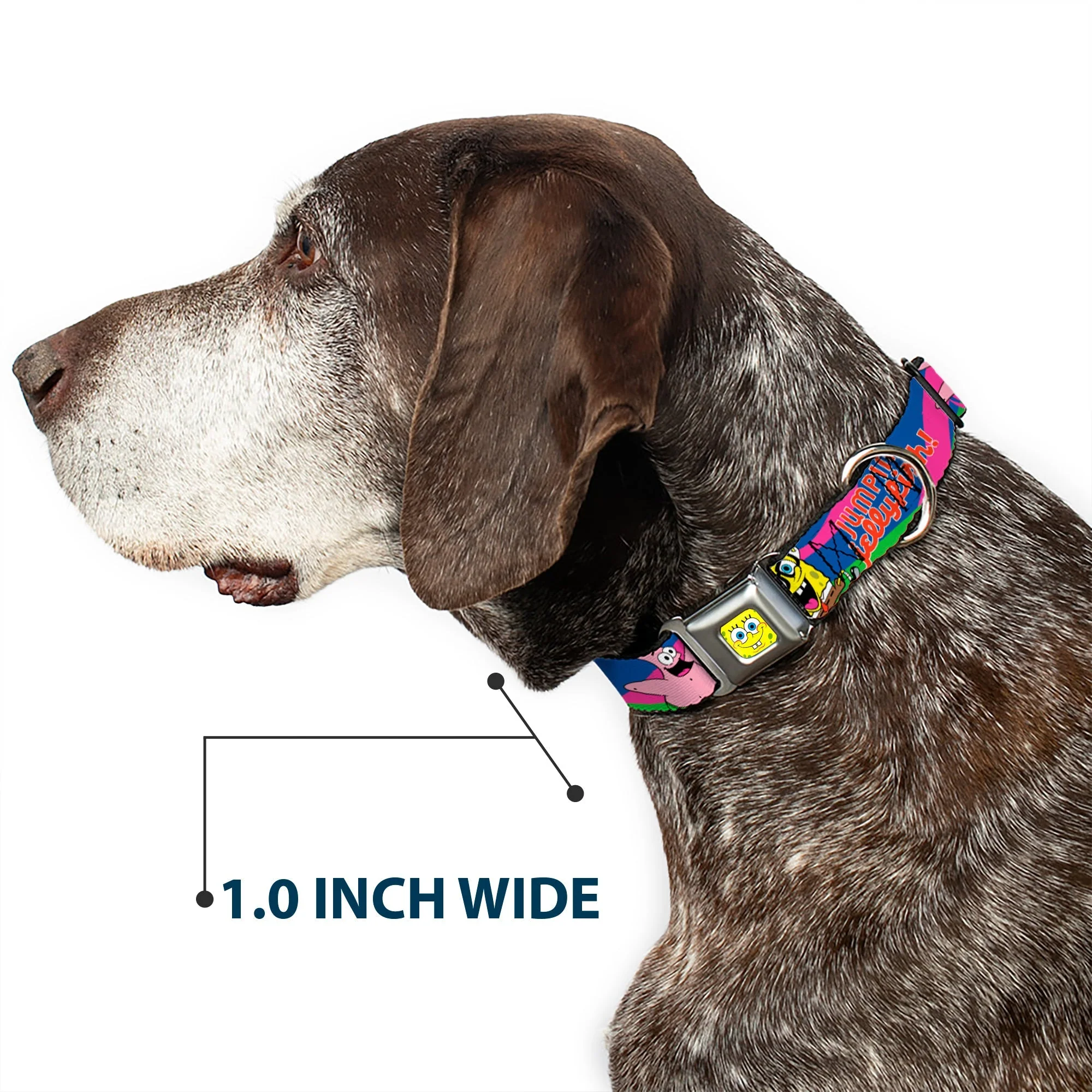 SpongeBob SquarePants Dog Collar SpongeBob Face Close-Up Jumpin' Jellyfish Multi-Color Seatbelt Buckle - Image 6