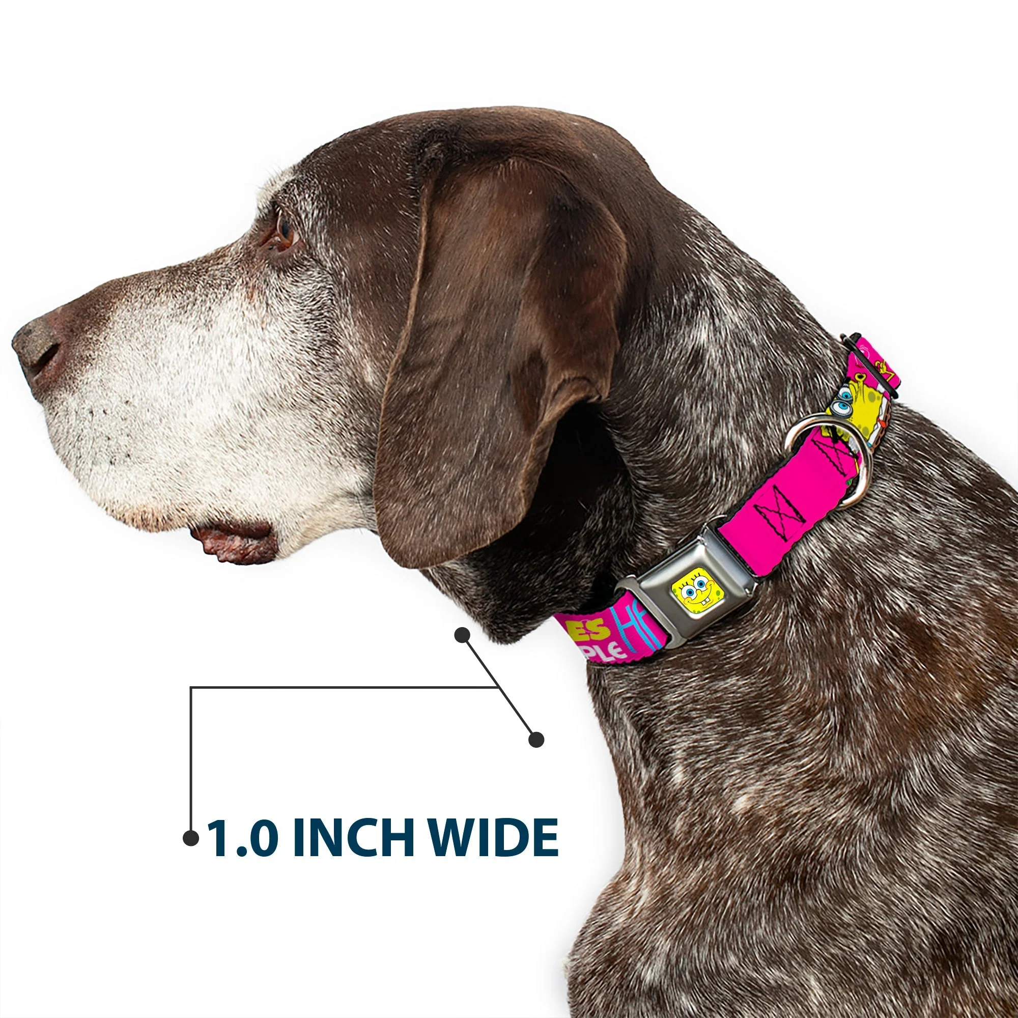 SpongeBob SquarePants Dog Collar SpongeBob Face Patrick Pose Bubbles Design Seatbelt Buckle Pink Yellow Blue - Image 6