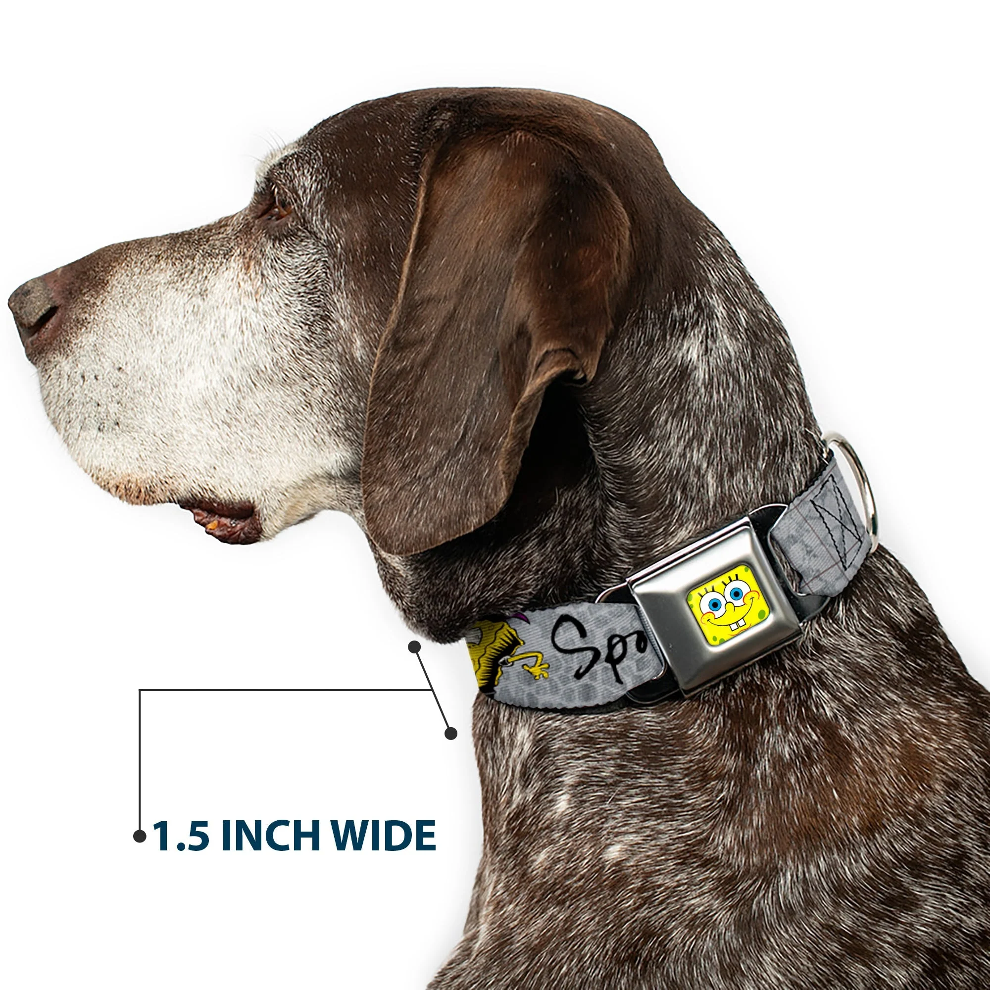 SpongeBob SquarePants Dog Seatbelt Collar SpongeBob Face Close-Up Adjustable Full Color - Image 7