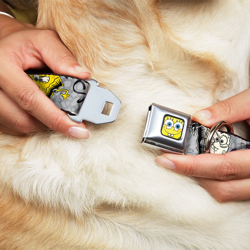 SpongeBob SquarePants Dog Seatbelt Collar SpongeBob Face Close-Up Adjustable Full Color - Image 8
