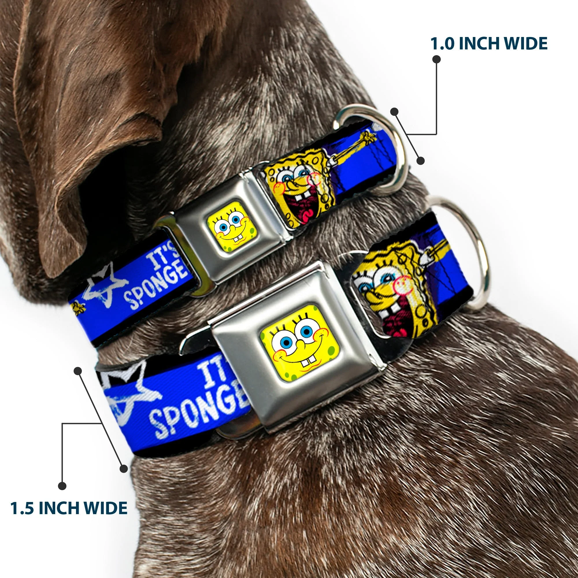 SpongeBob SquarePants Dog Collar Face Close-Up Seatbelt Buckle Black/Blue/White Stripe - Image 2