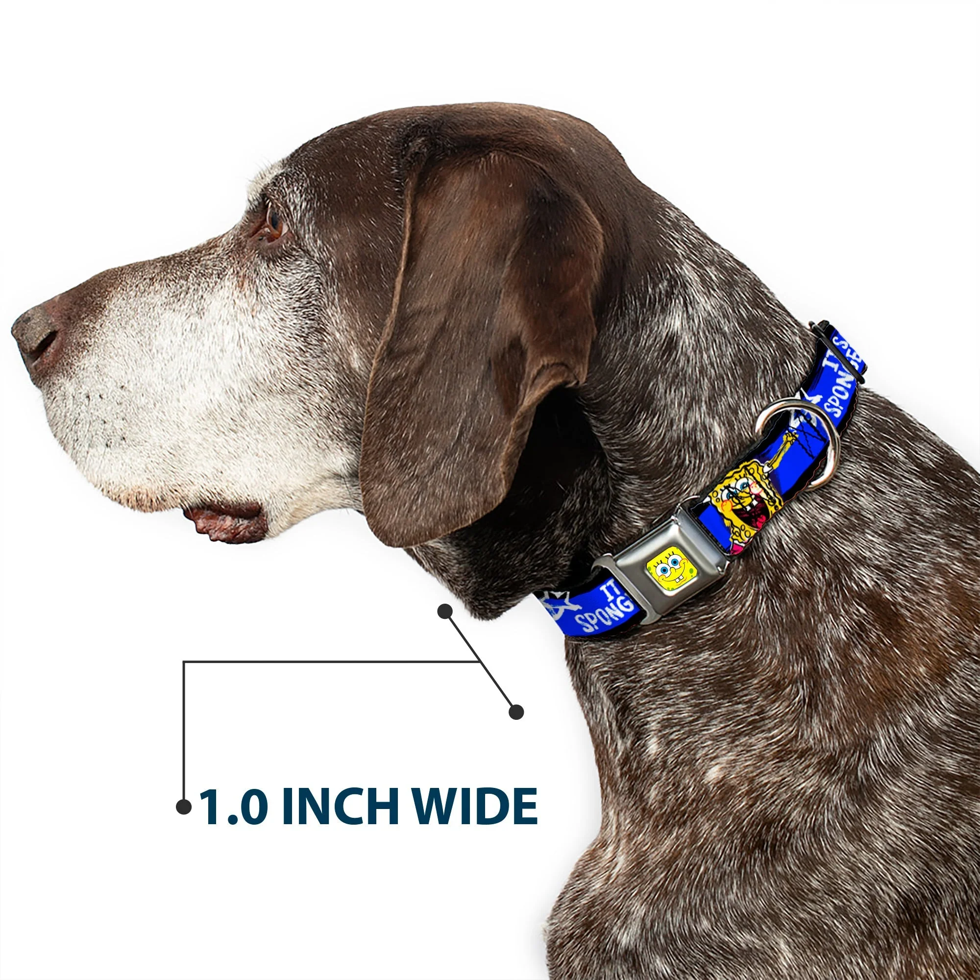 SpongeBob SquarePants Dog Collar Face Close-Up Seatbelt Buckle Black/Blue/White Stripe - Image 6