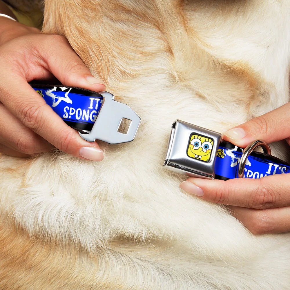 SpongeBob SquarePants Dog Collar Face Close-Up Seatbelt Buckle Black/Blue/White Stripe - Image 8