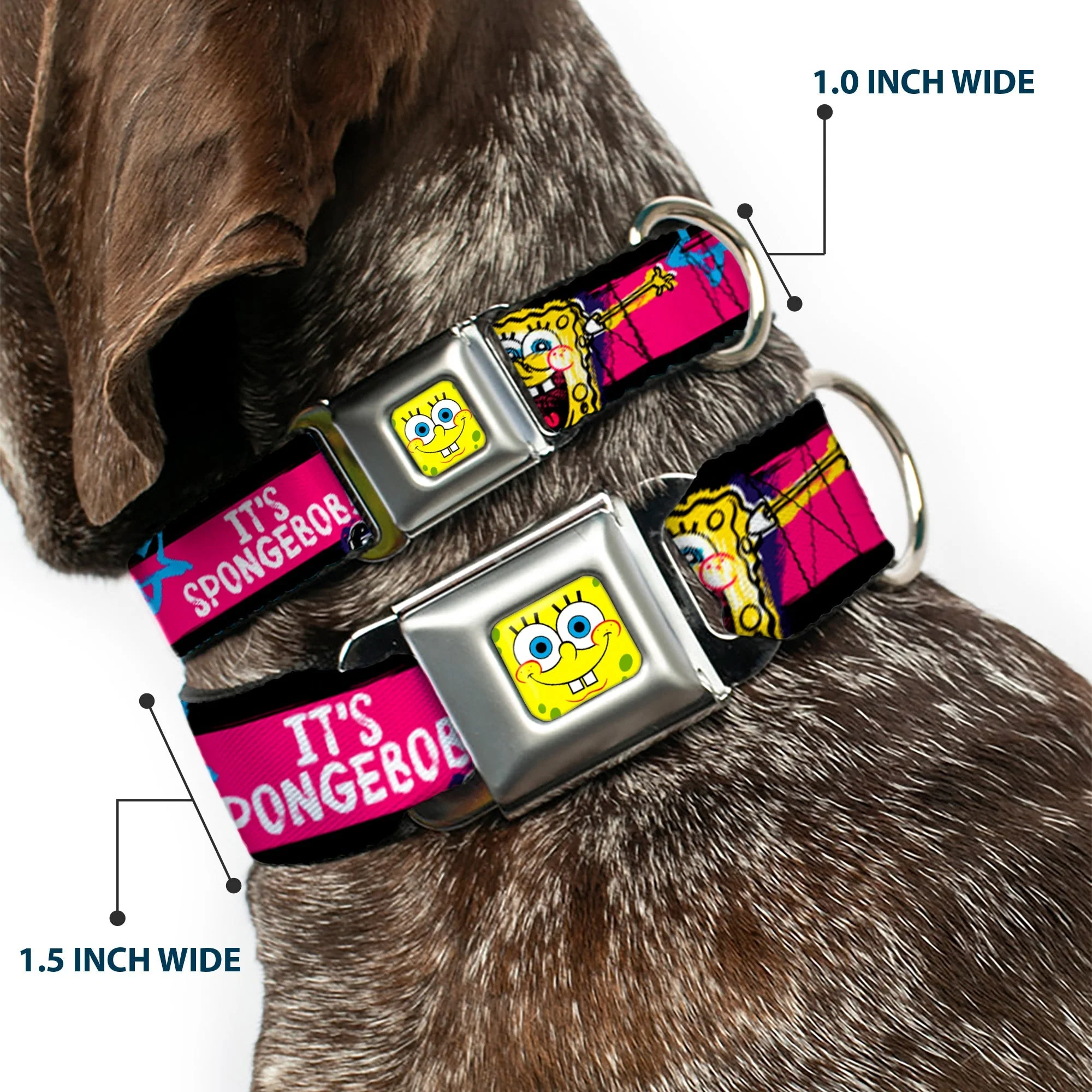 SpongeBob Dog Collar SpongeBob Face Close-Up Design Multi-Color Stripe Seatbelt Buckle - Image 2