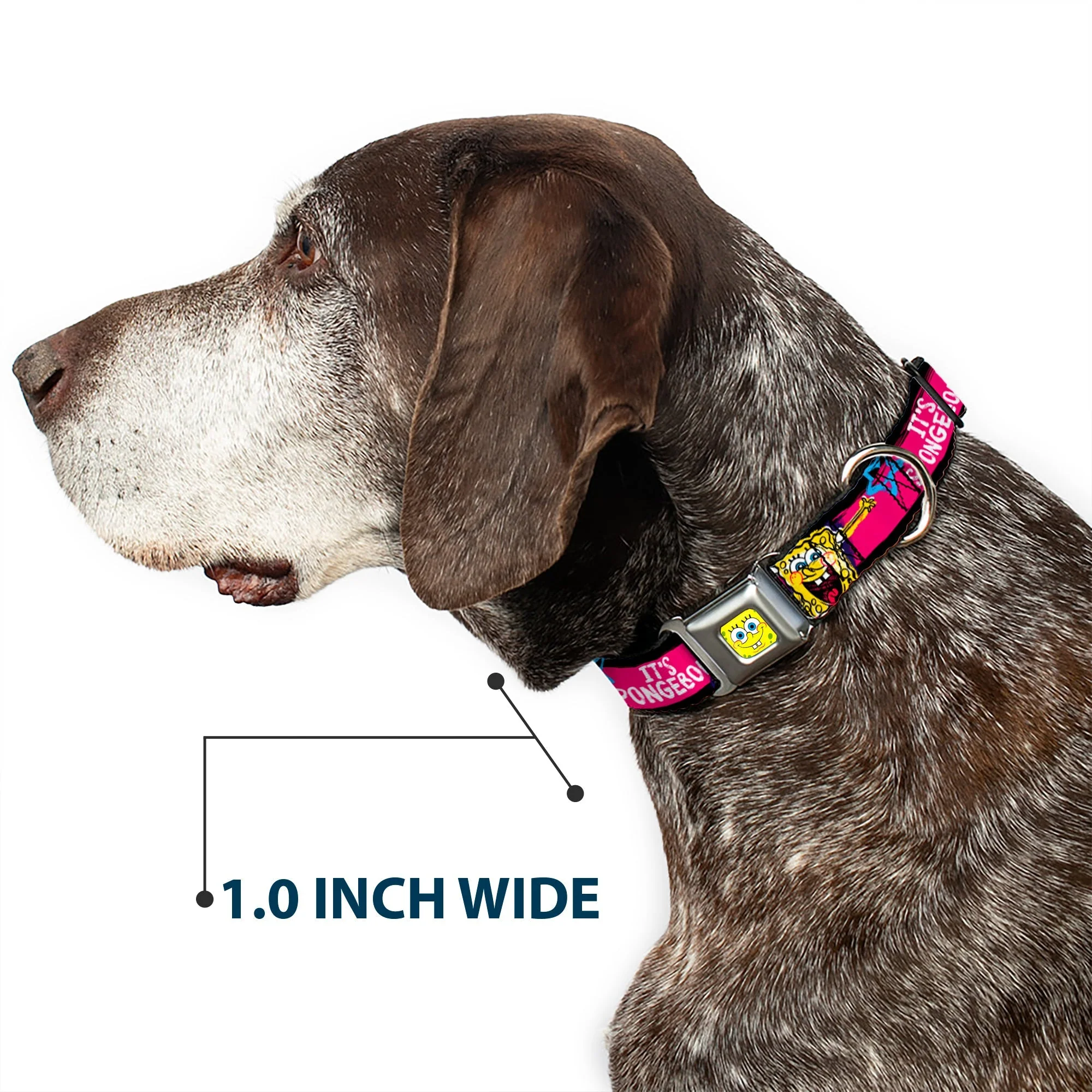 SpongeBob Dog Collar SpongeBob Face Close-Up Design Multi-Color Stripe Seatbelt Buckle - Image 6