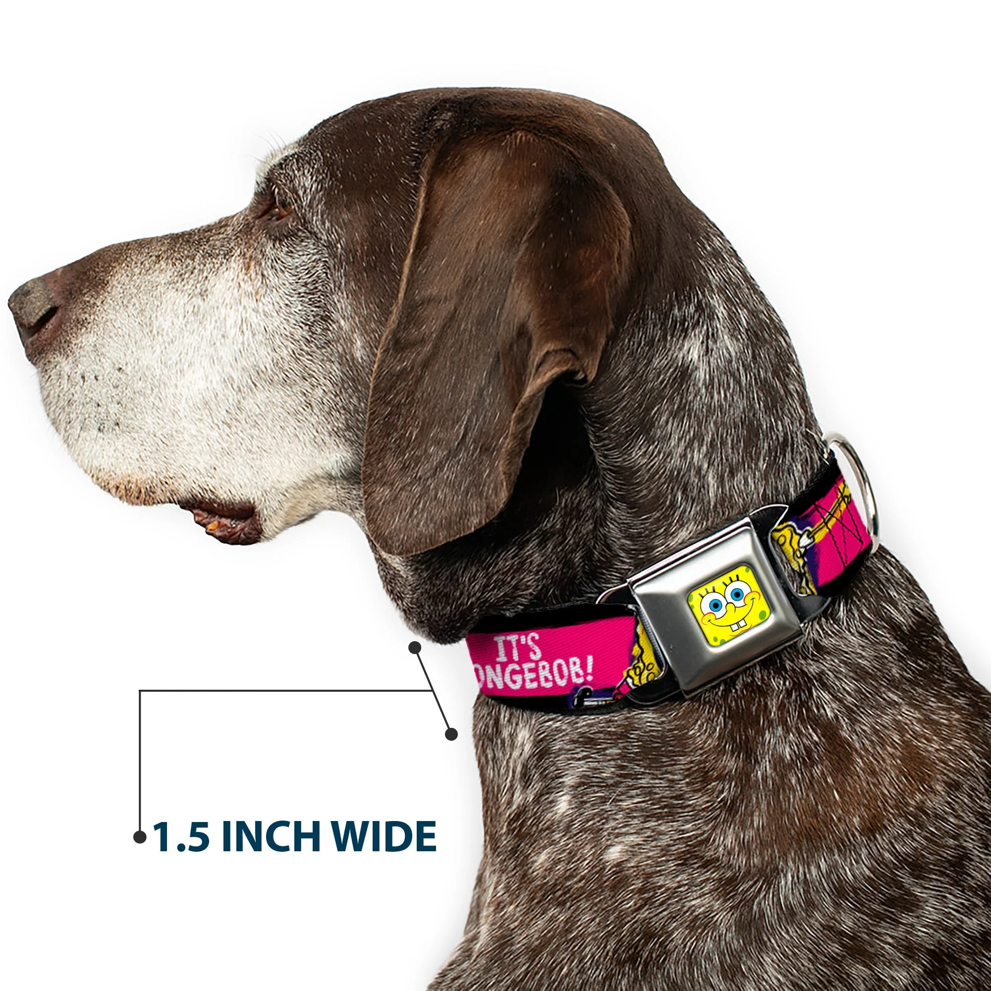 SpongeBob Dog Collar SpongeBob Face Close-Up Design Multi-Color Stripe Seatbelt Buckle - Image 7