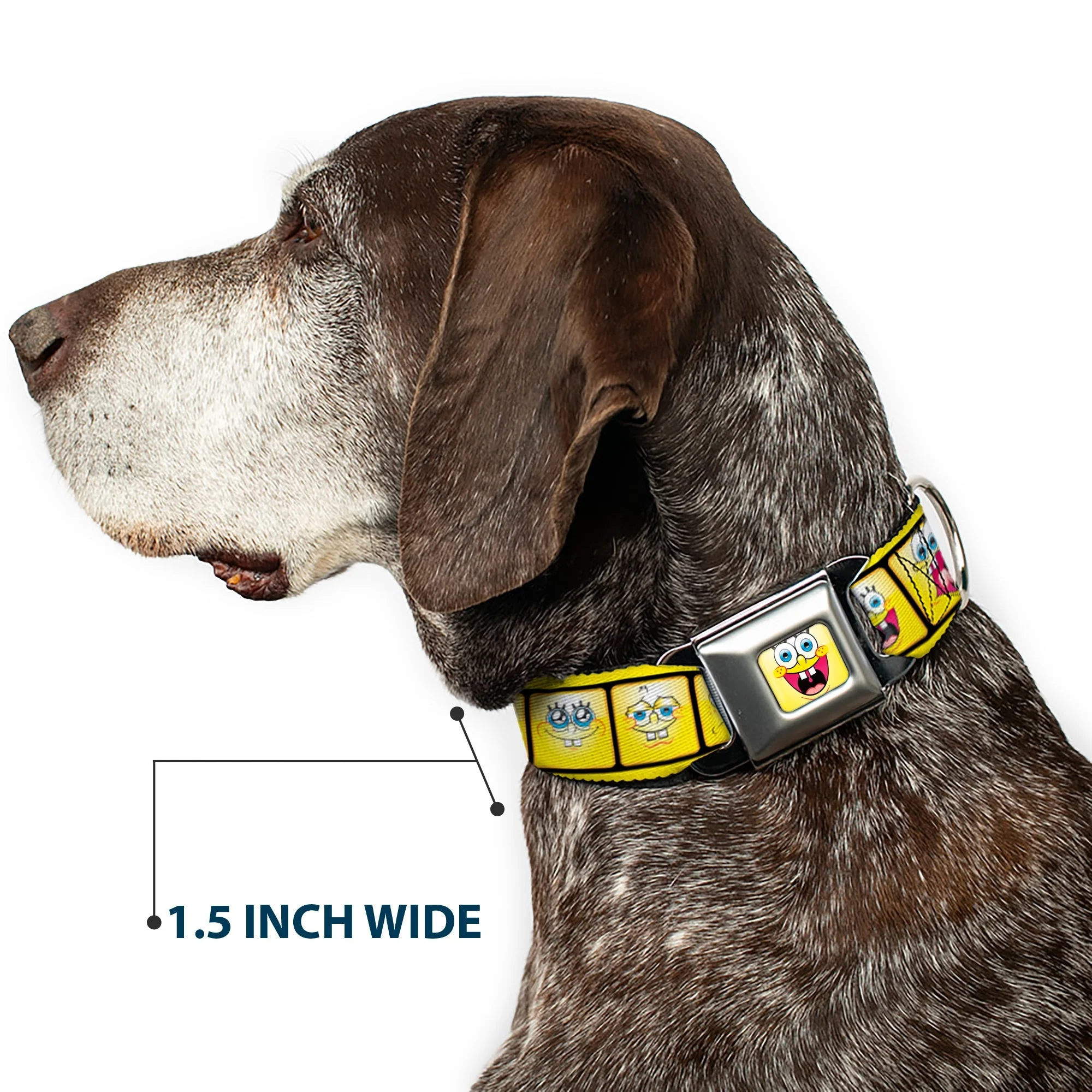 SpongeBob SquarePants Dog Collar Open Mouth Smile Seatbelt Buckle Yellow - Image 7