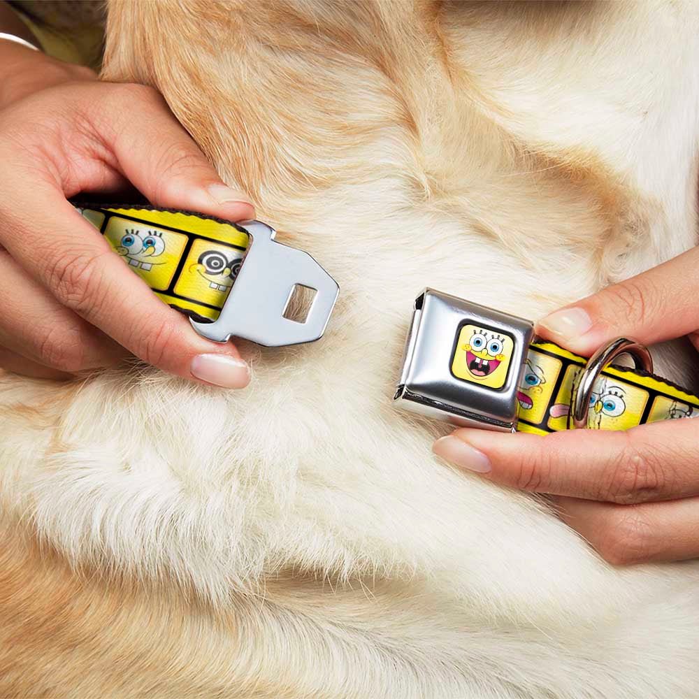 SpongeBob SquarePants Dog Collar Open Mouth Smile Seatbelt Buckle Yellow - Image 8