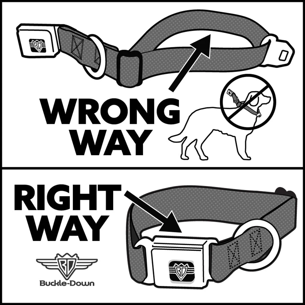 SpongeBob SquarePants Dog Collar Full Color SpongeBob & Patrick Poses Seatbelt Buckle Black - Image 11