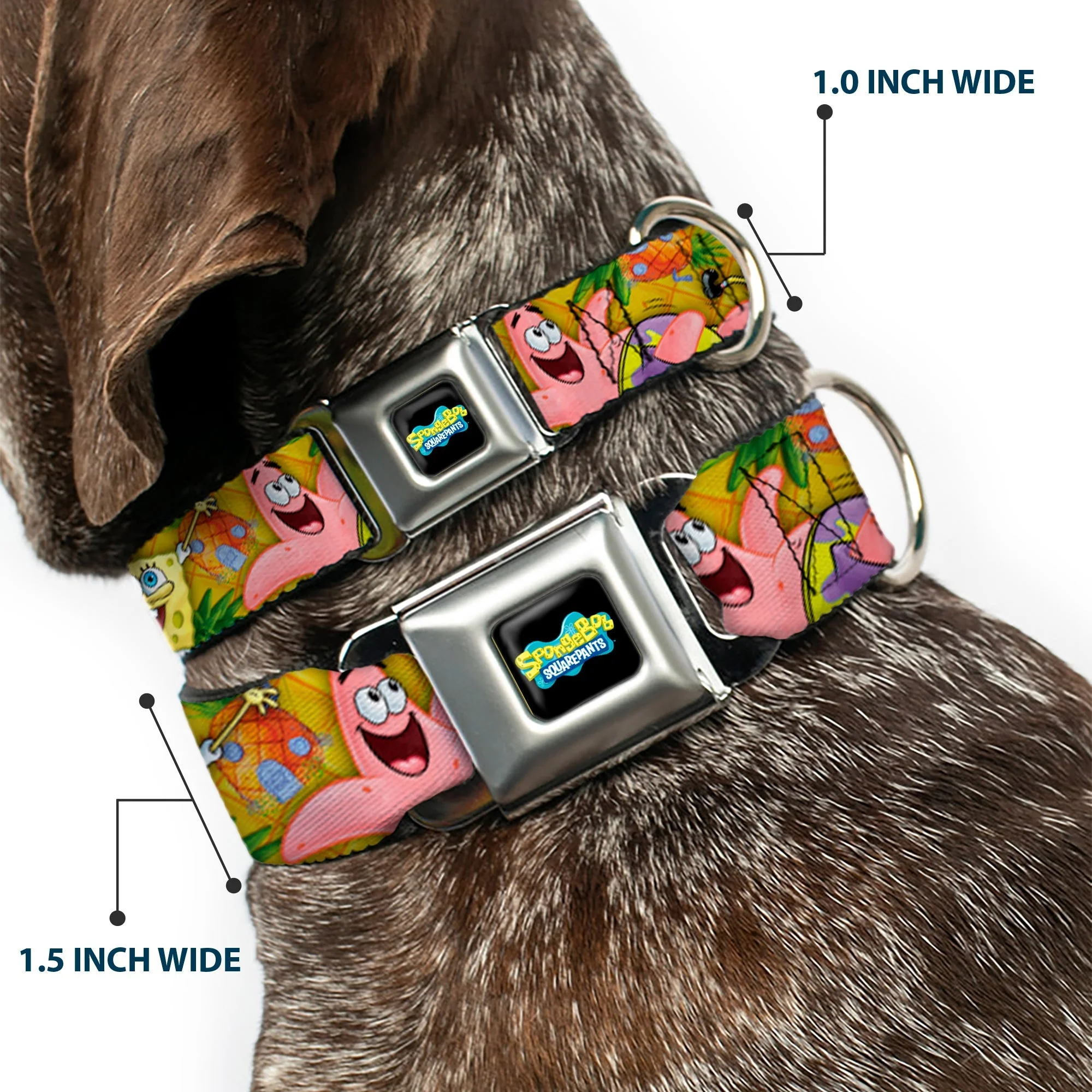 SpongeBob SquarePants Dog Collar Full Color SpongeBob & Patrick Poses Seatbelt Buckle Black - Image 2