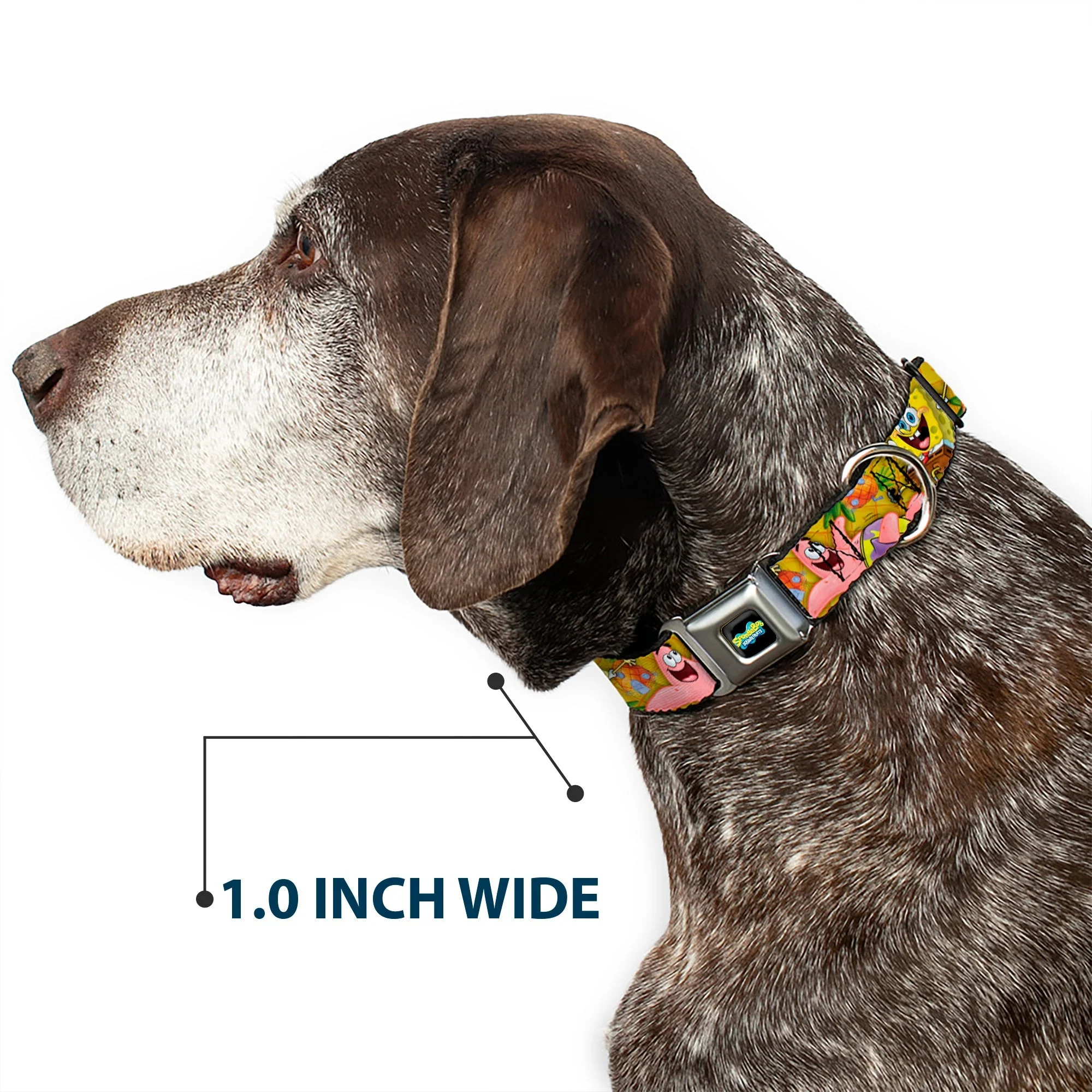 SpongeBob SquarePants Dog Collar Full Color SpongeBob & Patrick Poses Seatbelt Buckle Black - Image 6