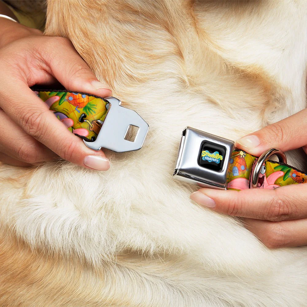 SpongeBob SquarePants Dog Collar Full Color SpongeBob & Patrick Poses Seatbelt Buckle Black - Image 8