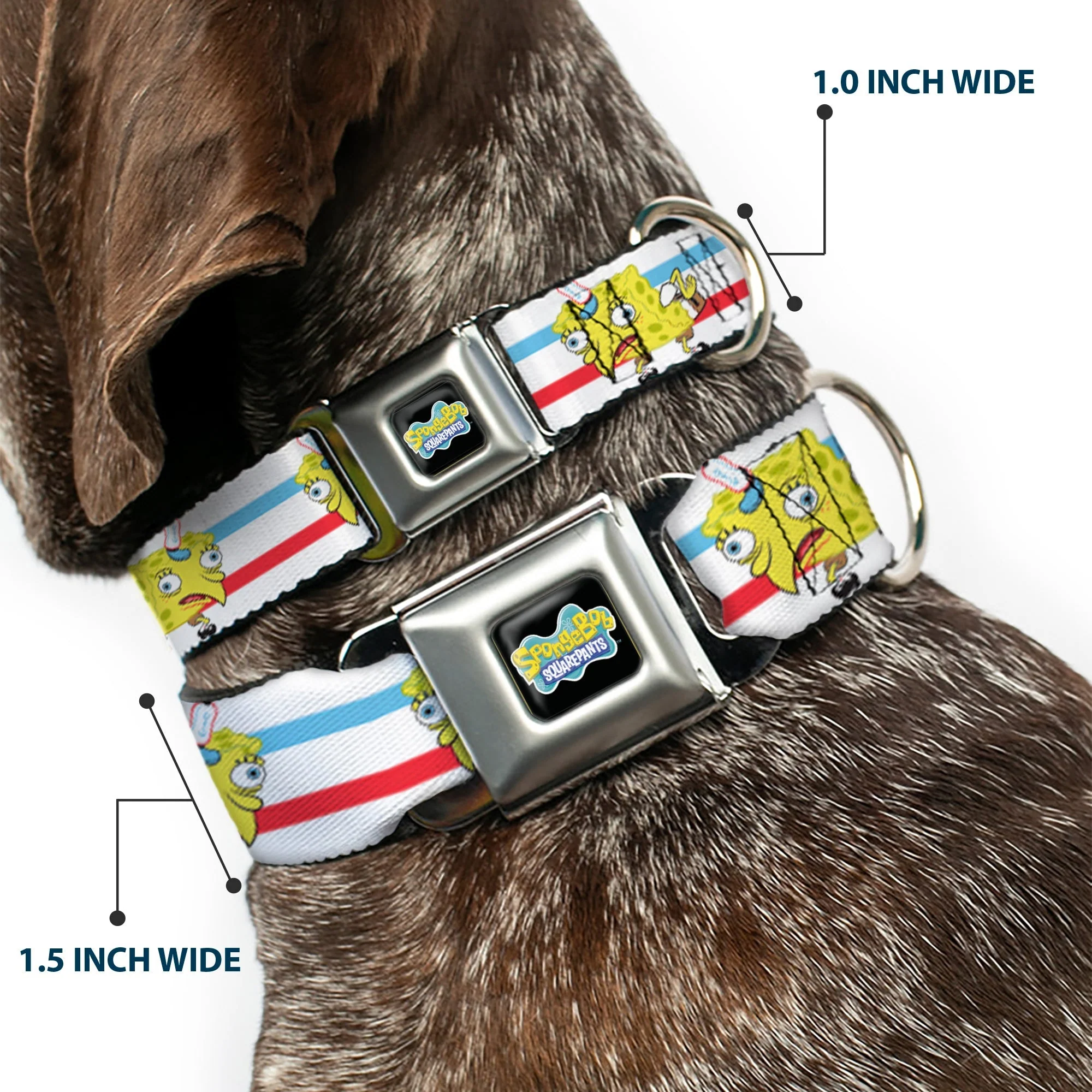 SpongeBob SquarePants Seatbelt Dog Collar Mocking SpongeBob Pose Stripe Black Full Color - Image 2