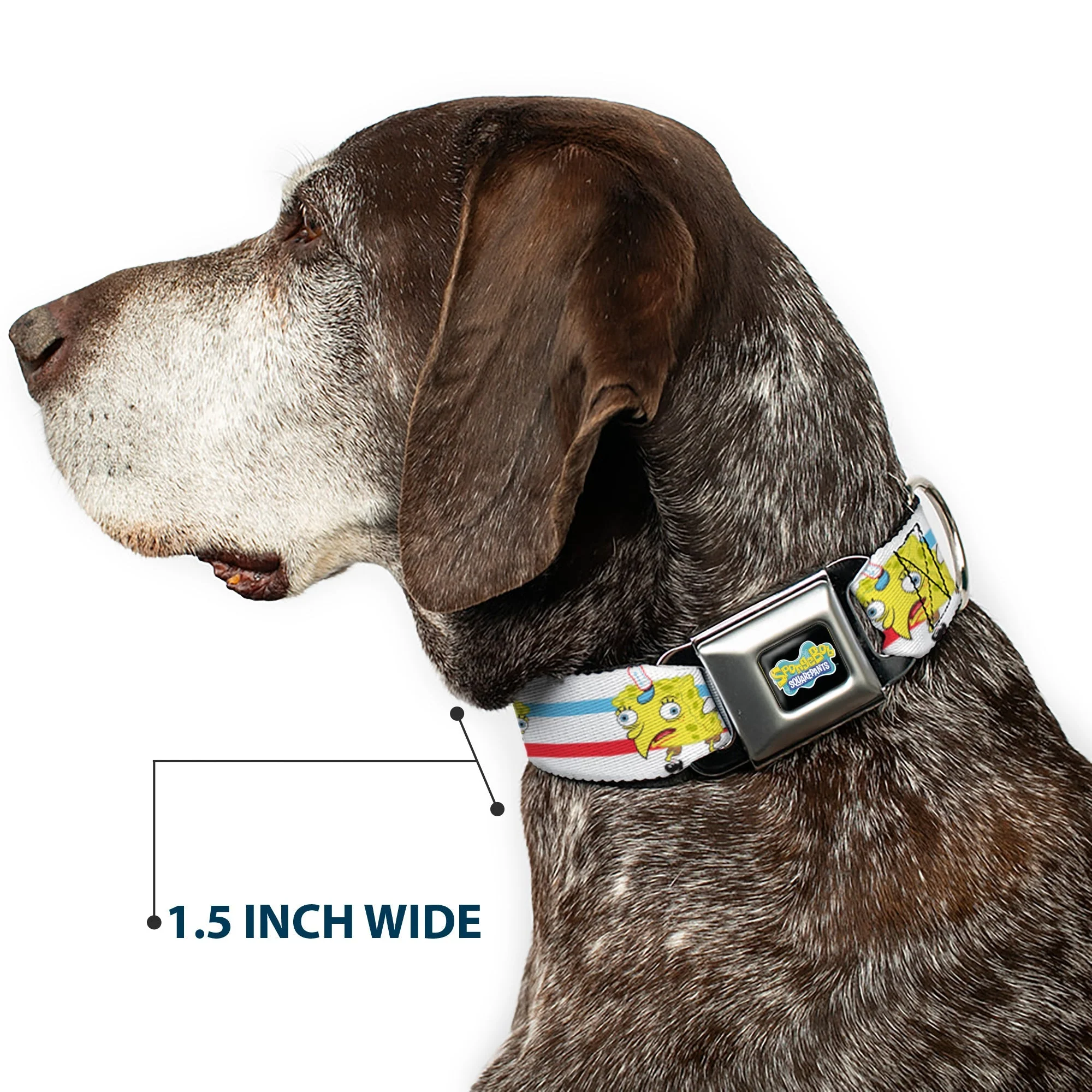 SpongeBob SquarePants Seatbelt Dog Collar Mocking SpongeBob Pose Stripe Black Full Color - Image 7