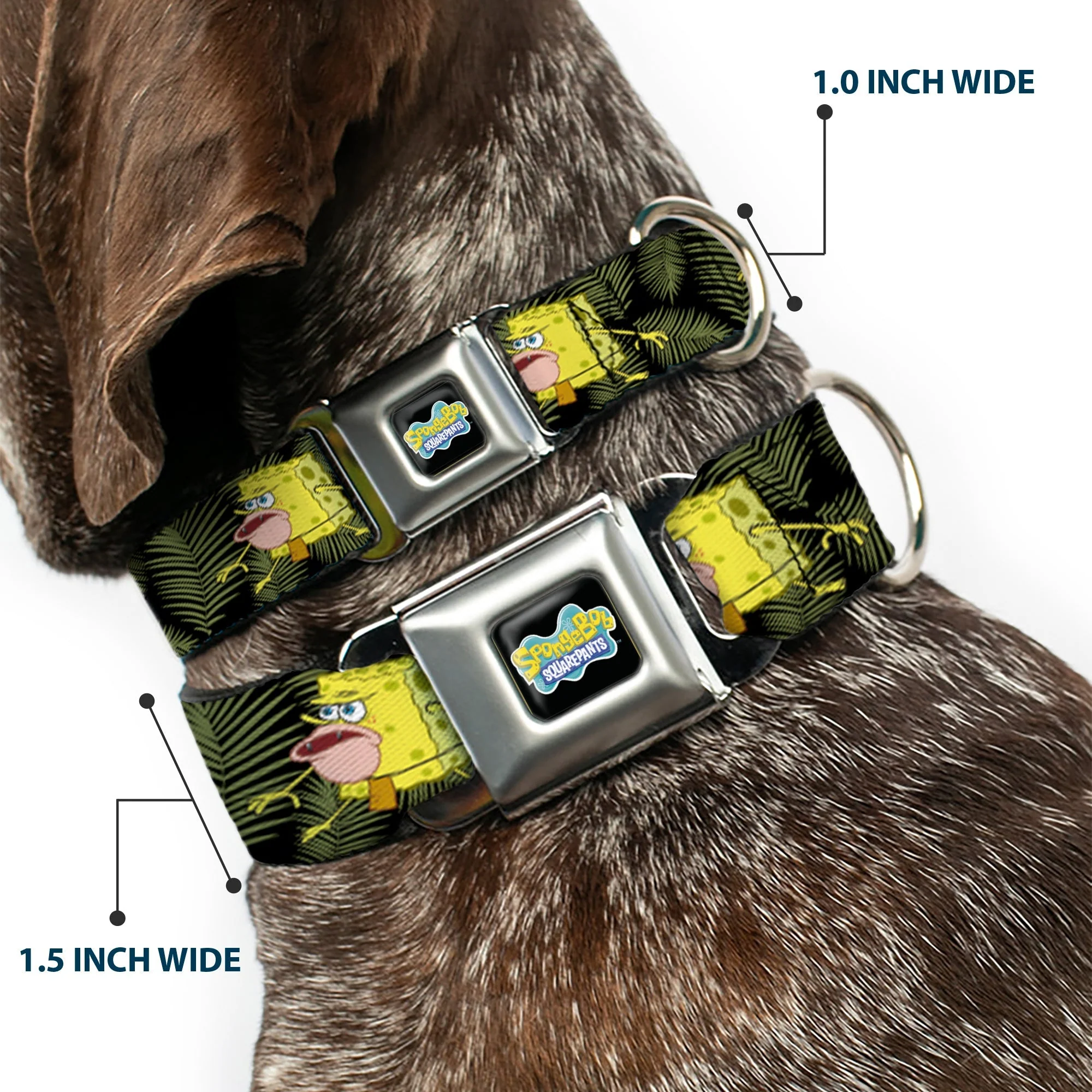 SpongeBob SquarePants Dog Collar Primitive Sponge Pose Full Color Seatbelt Buckle Black Green - Image 2