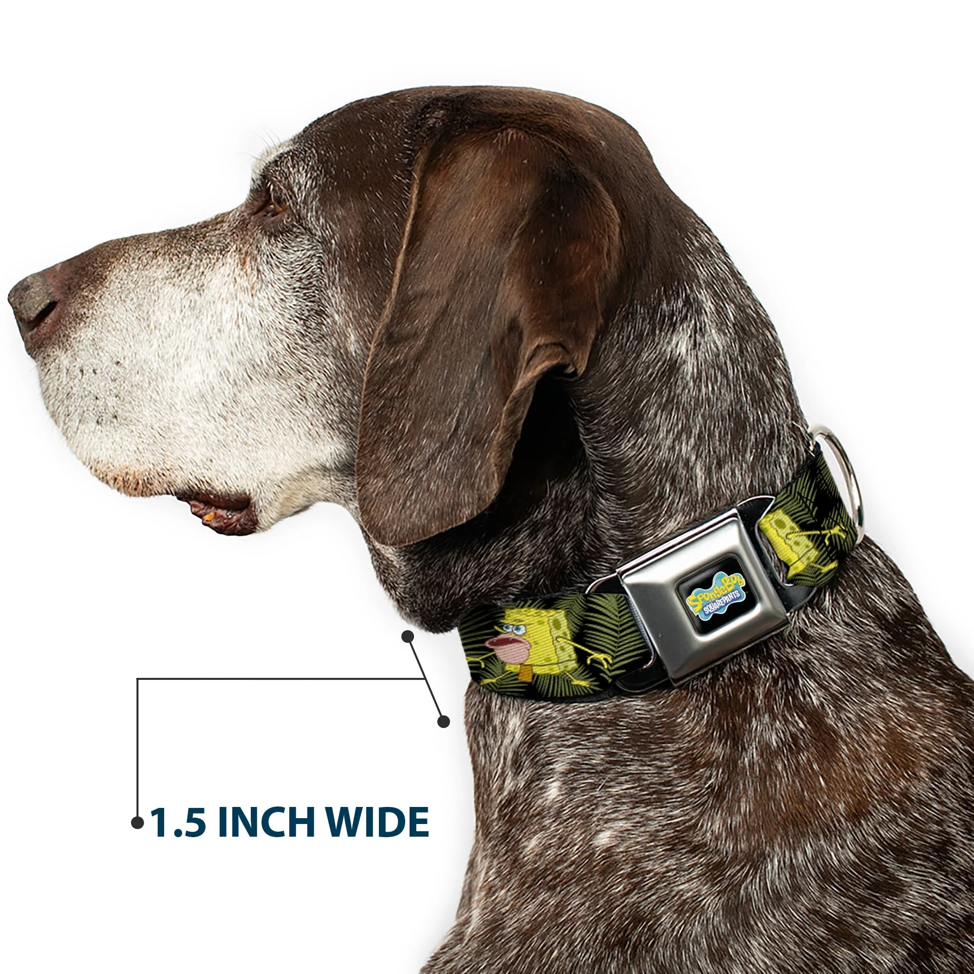 SpongeBob SquarePants Dog Collar Primitive Sponge Pose Full Color Seatbelt Buckle Black Green - Image 7
