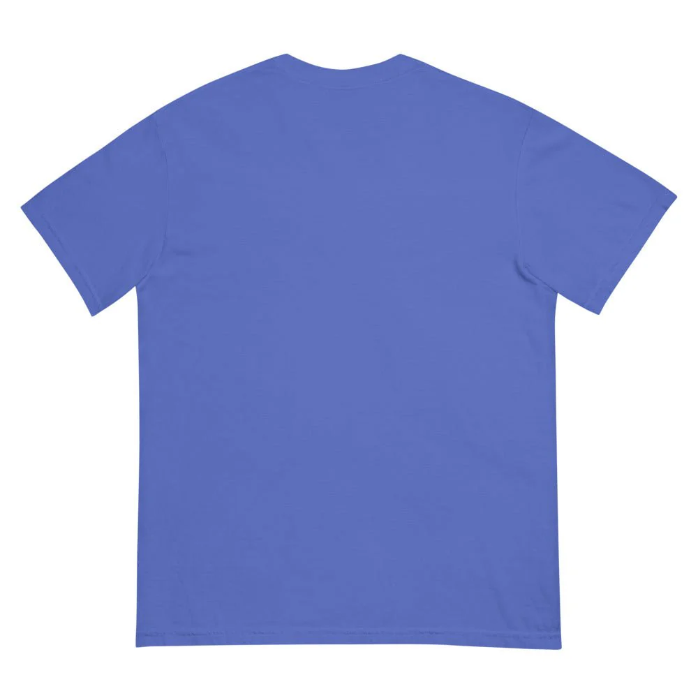 Star Trek Pride Starships Proudly Go! Comfort Colors T-Shirt - Image 18