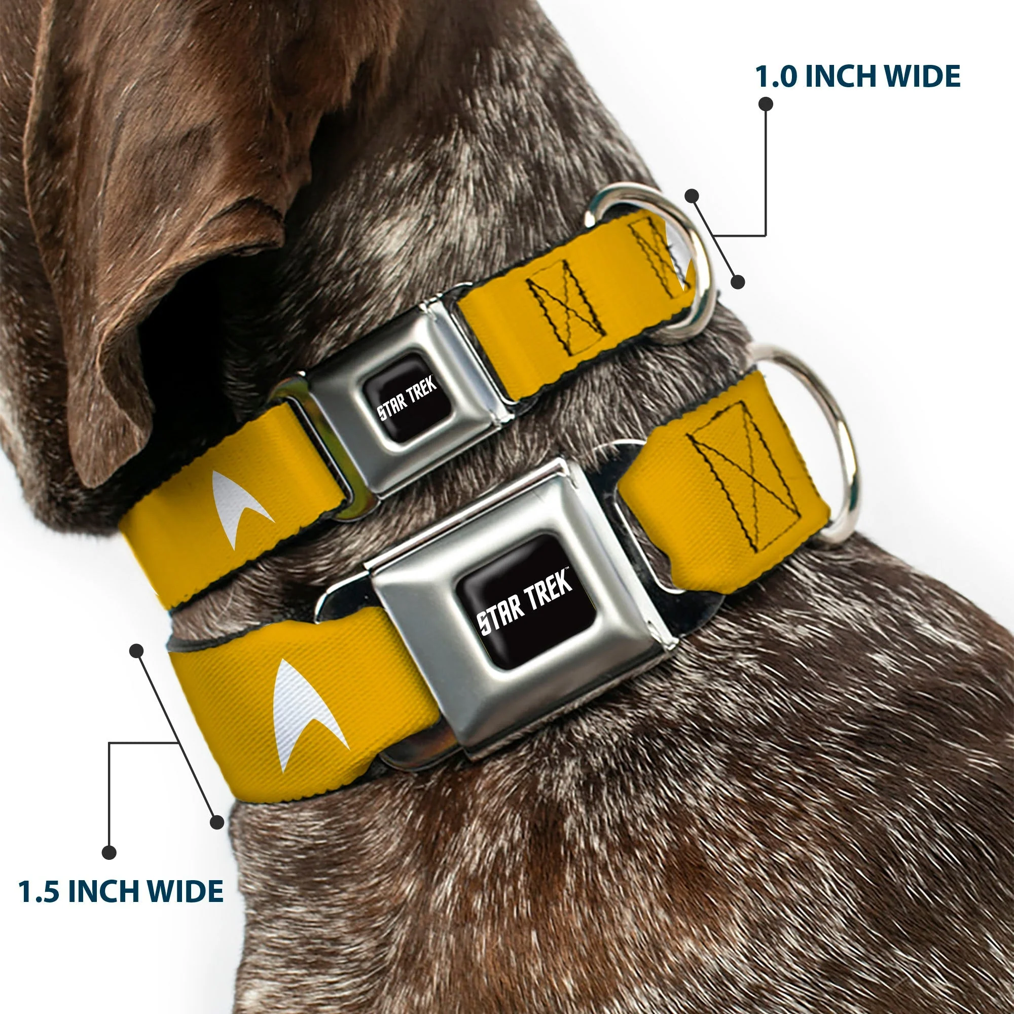 Star Trek Starfleet Insignia Seatbelt Buckle Dog Collar - Image 2