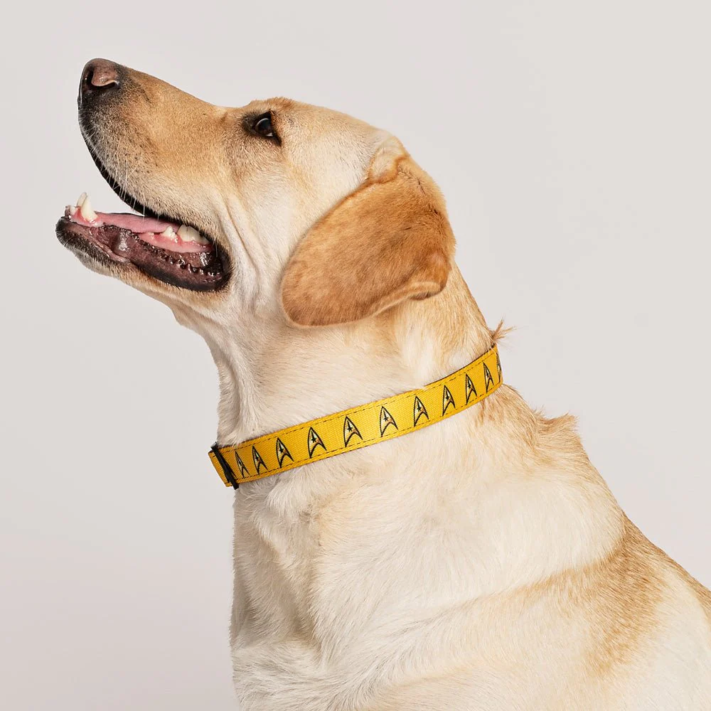 Star Trek: The Original Series Command Pet Collar - Image 2