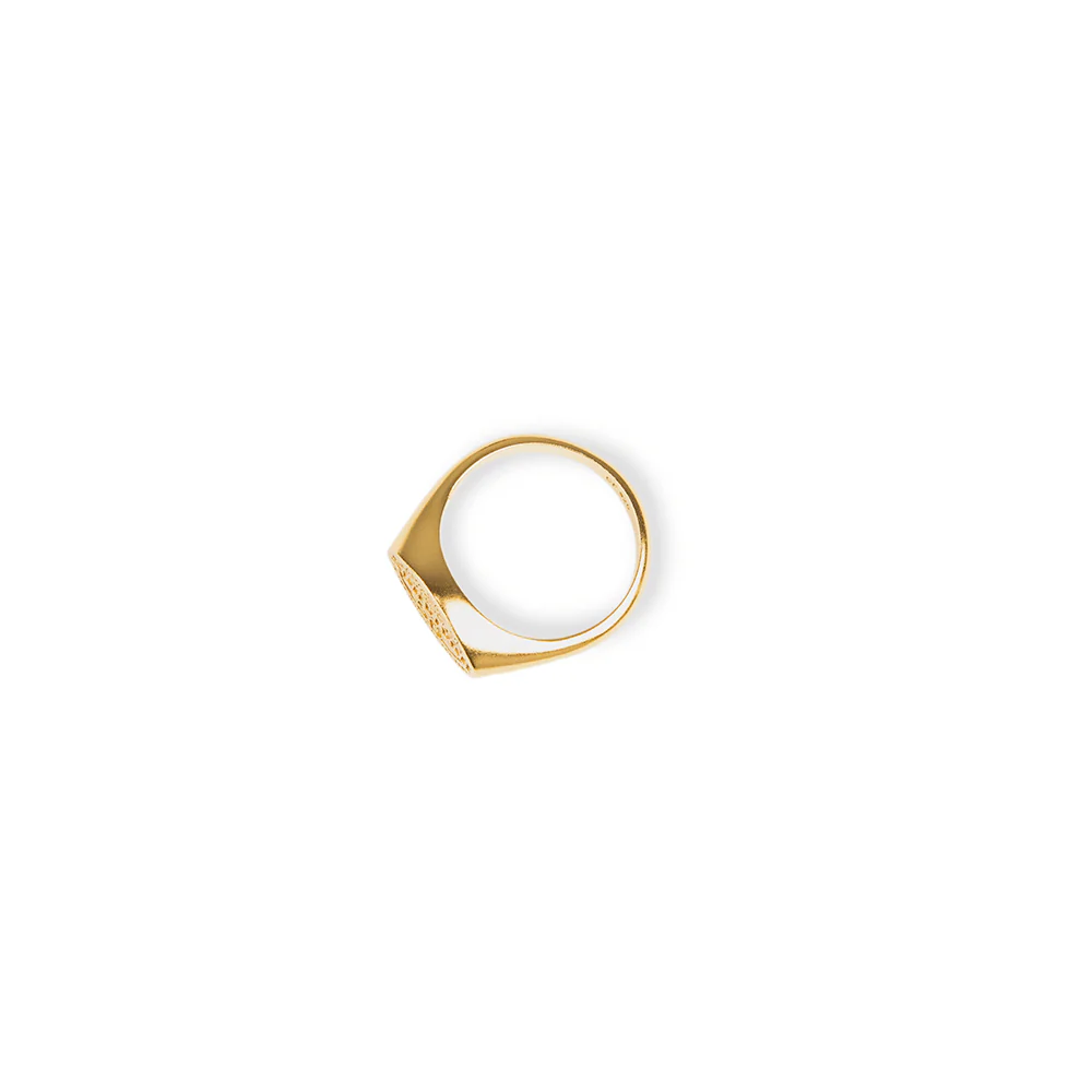 Survivor 50th Season Signet Ring - Image 4