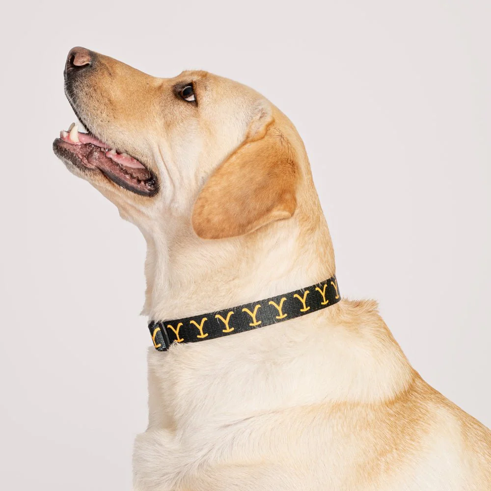 Yellowstone Logo Pet Collar - Image 2