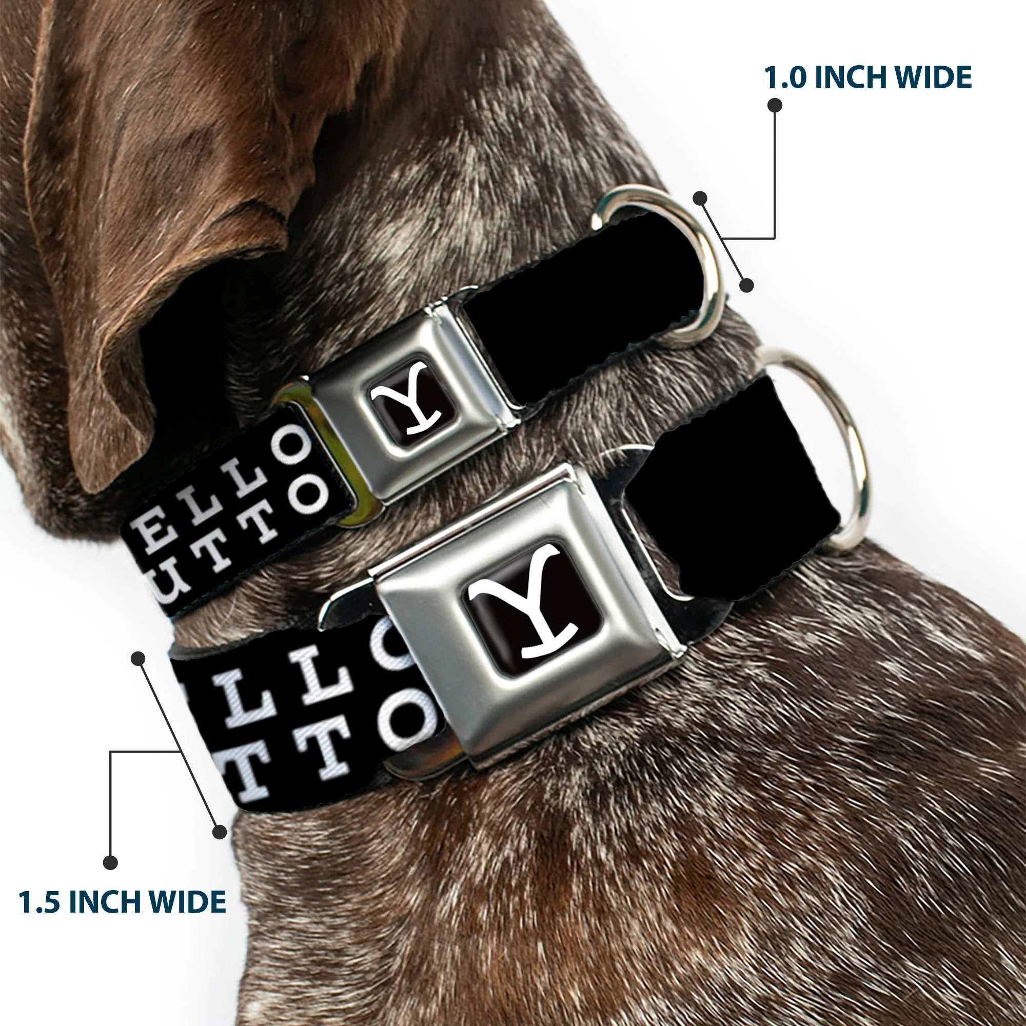 Yellowstone Dutton Ranch Y Logo Seatbelt Buckle Dog Collar - Image 2