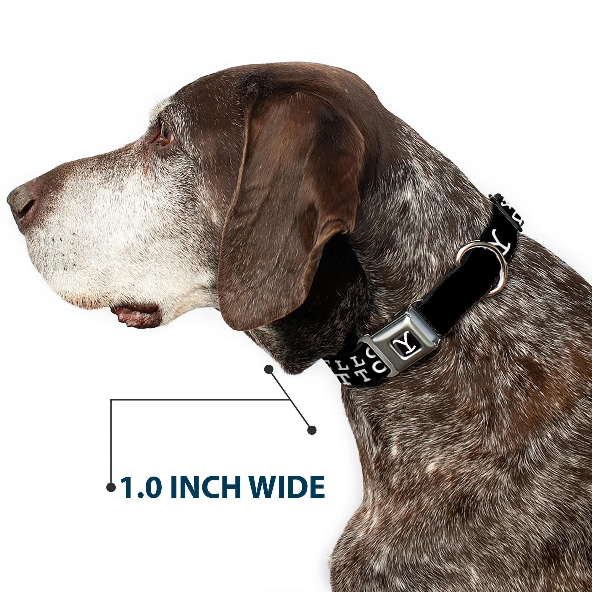 Yellowstone Dutton Ranch Y Logo Seatbelt Buckle Dog Collar - Image 6