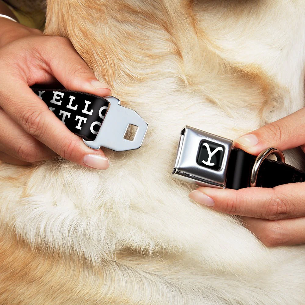 Yellowstone Dutton Ranch Y Logo Seatbelt Buckle Dog Collar - Image 8
