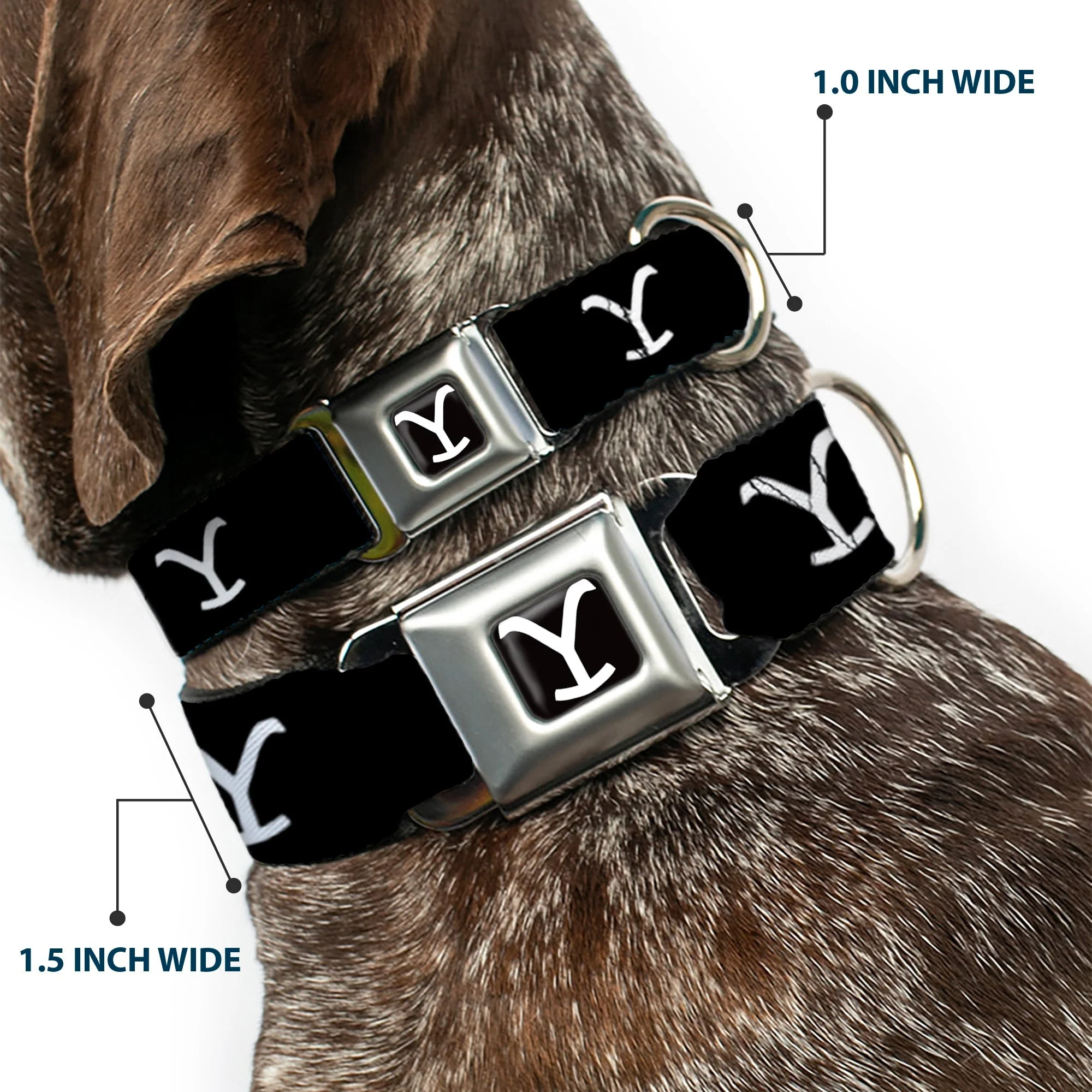 Yellowstone Y Logo Seatbelt Buckle Durable Dog Collar - Image 2