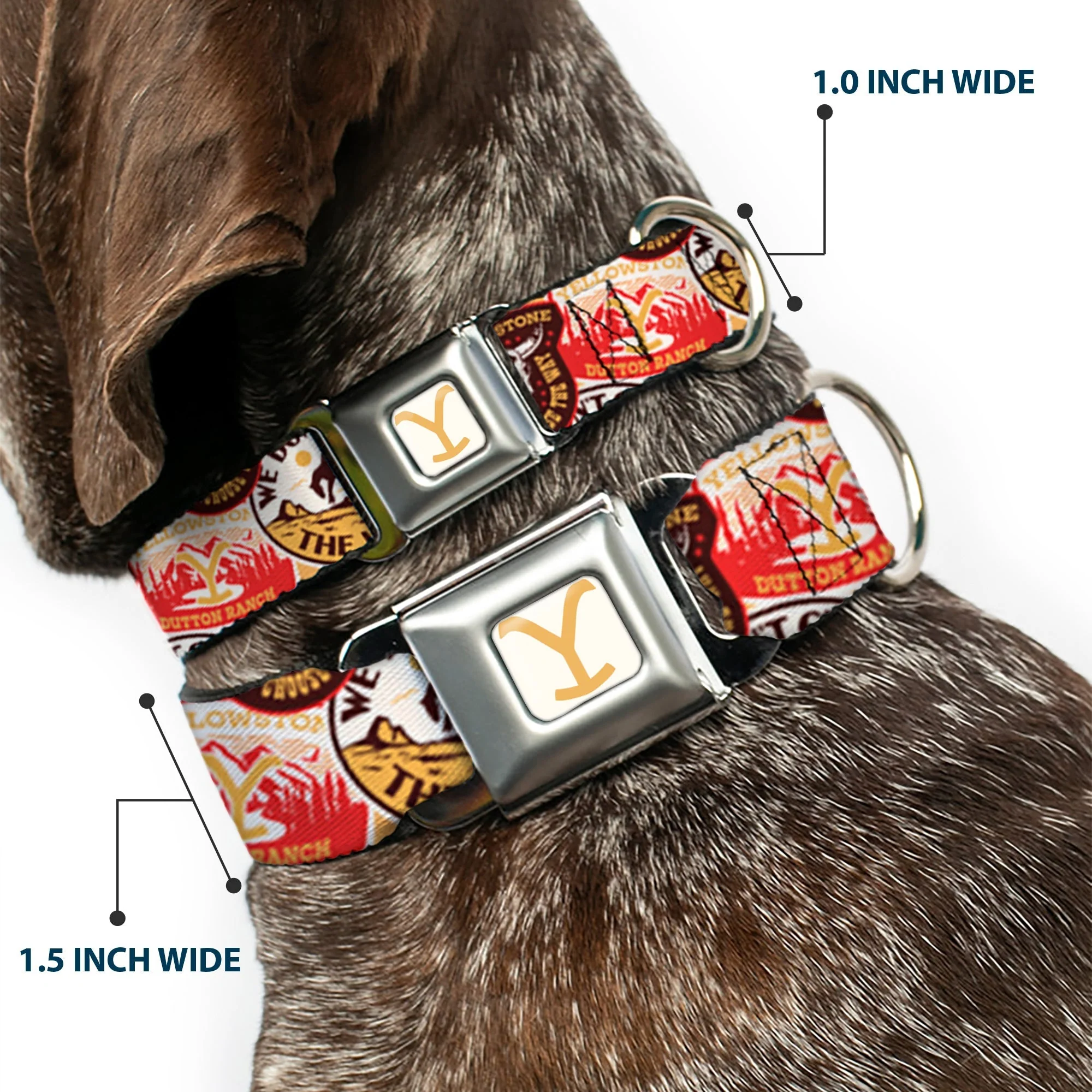 Yellowstone Y Logo Seatbelt Buckle Adjustable Dog Collar - Image 2