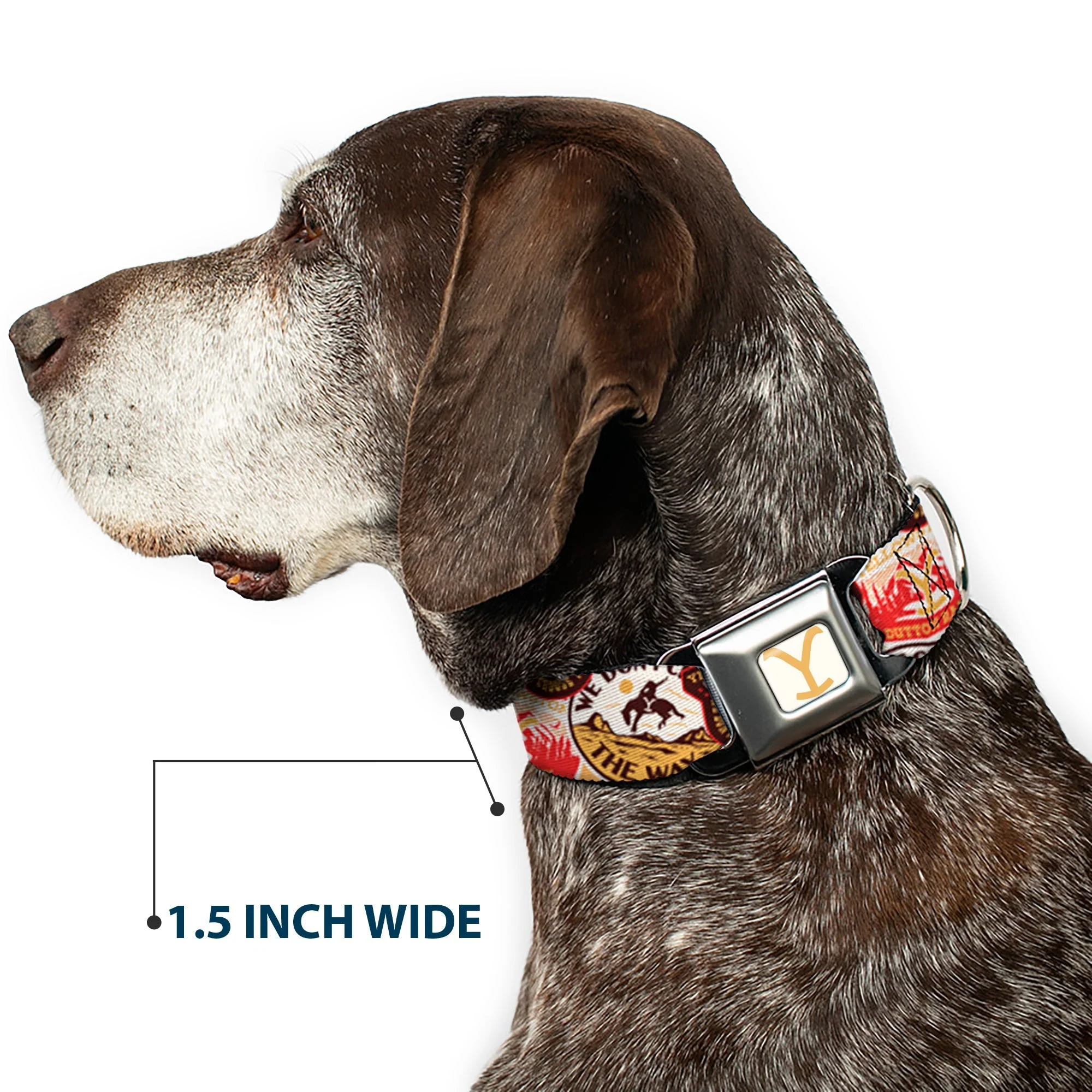 Yellowstone Y Logo Seatbelt Buckle Adjustable Dog Collar - Image 7