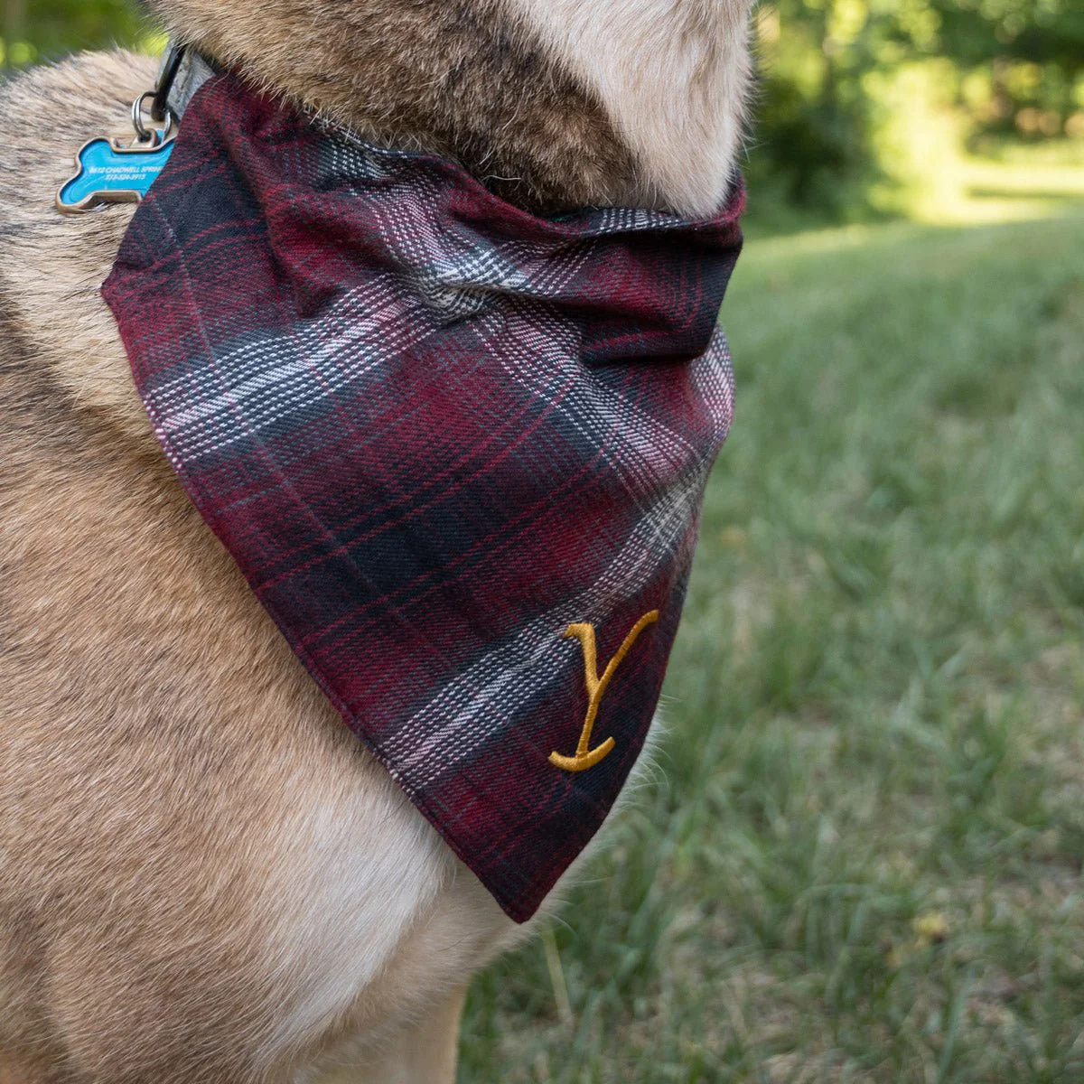 Yellowstone Y Logo Plaid Doggie Flandana - Image 9