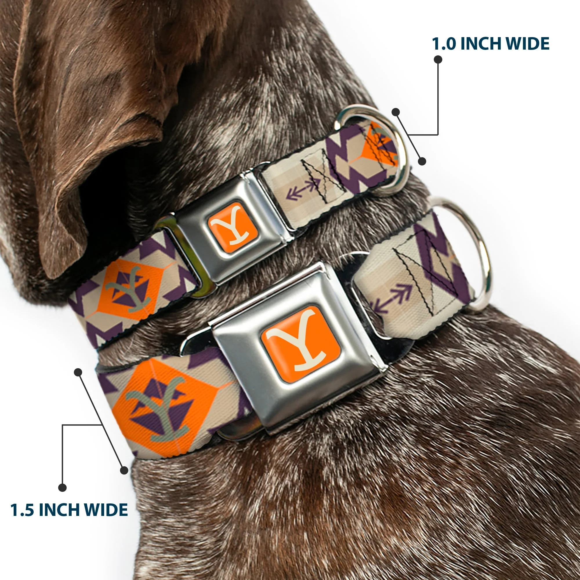 Yellowstone Y Logo Weathered Tribal Seatbelt Buckle Dog Collar - Image 2