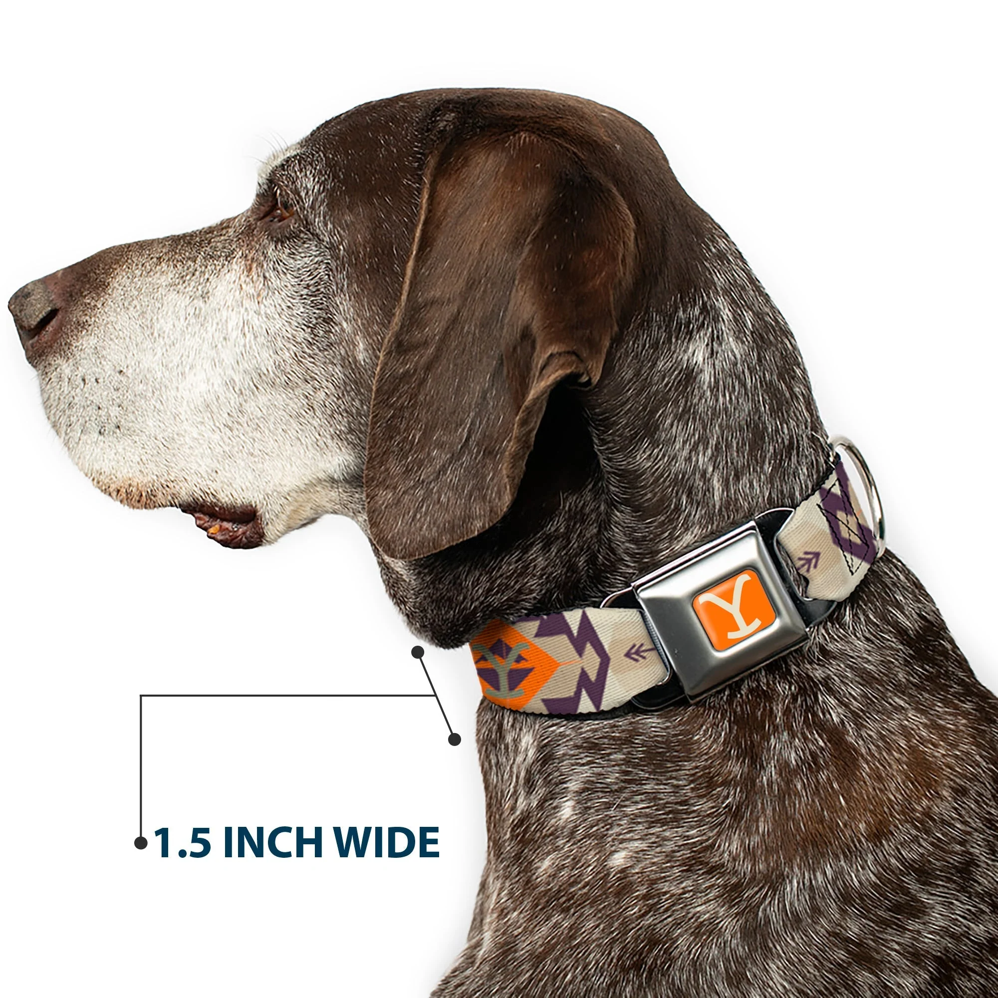 Yellowstone Y Logo Weathered Tribal Seatbelt Buckle Dog Collar - Image 7
