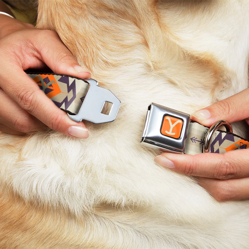 Yellowstone Y Logo Weathered Tribal Seatbelt Buckle Dog Collar - Image 8