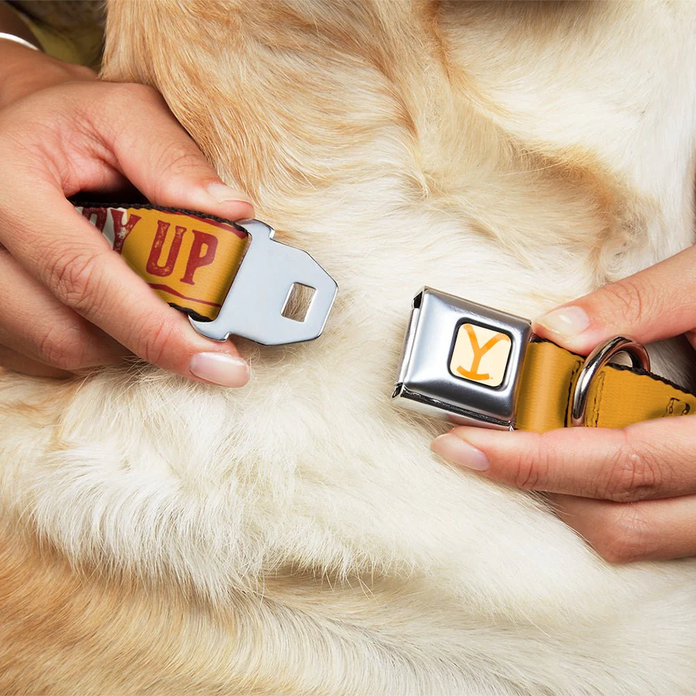 Yellowstone Y Logo Weathered Seatbelt Buckle Dog Collar - Image 8